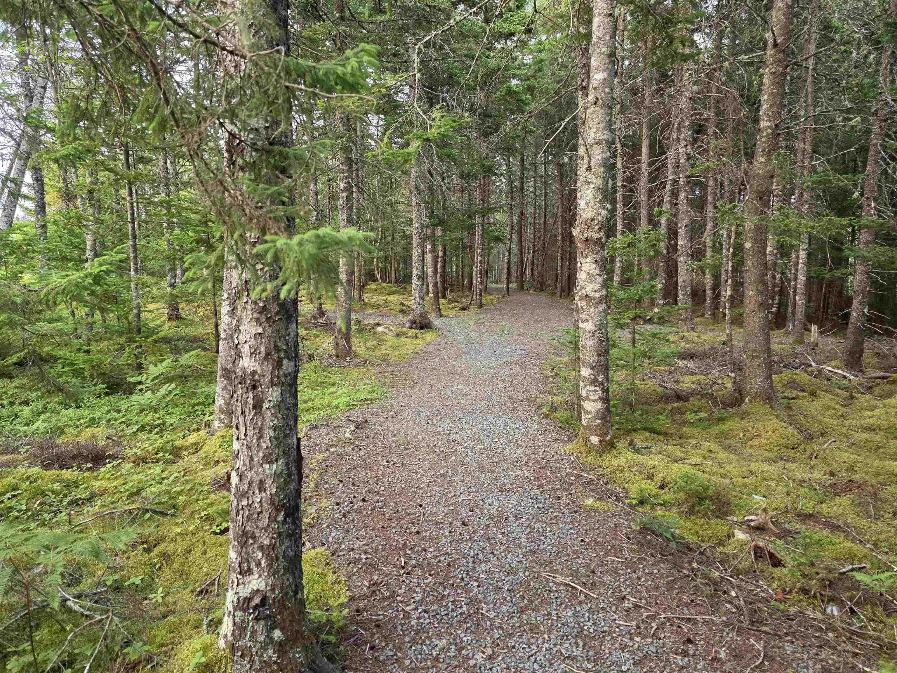 9 Grand Gully Road, River Tillard, NS B0E 2X0, 3 Bedrooms Bedrooms, ,2 BathroomsBathrooms,Residential,For Sale,Grand Gully,202521182
