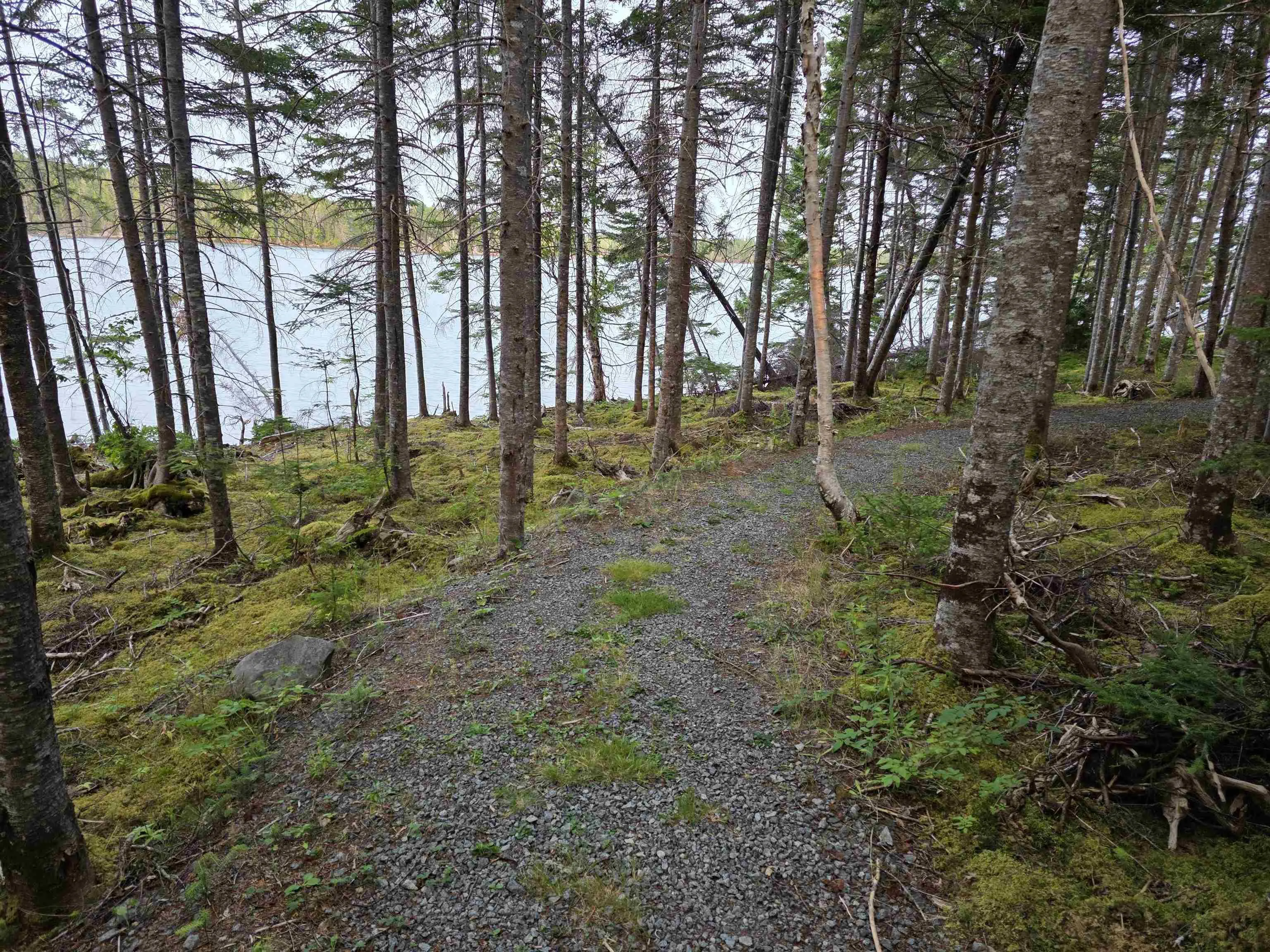 9 Grand Gully Road, River Tillard, NS B0E 2X0, 3 Bedrooms Bedrooms, ,2 BathroomsBathrooms,Residential,For Sale,Grand Gully,202521182