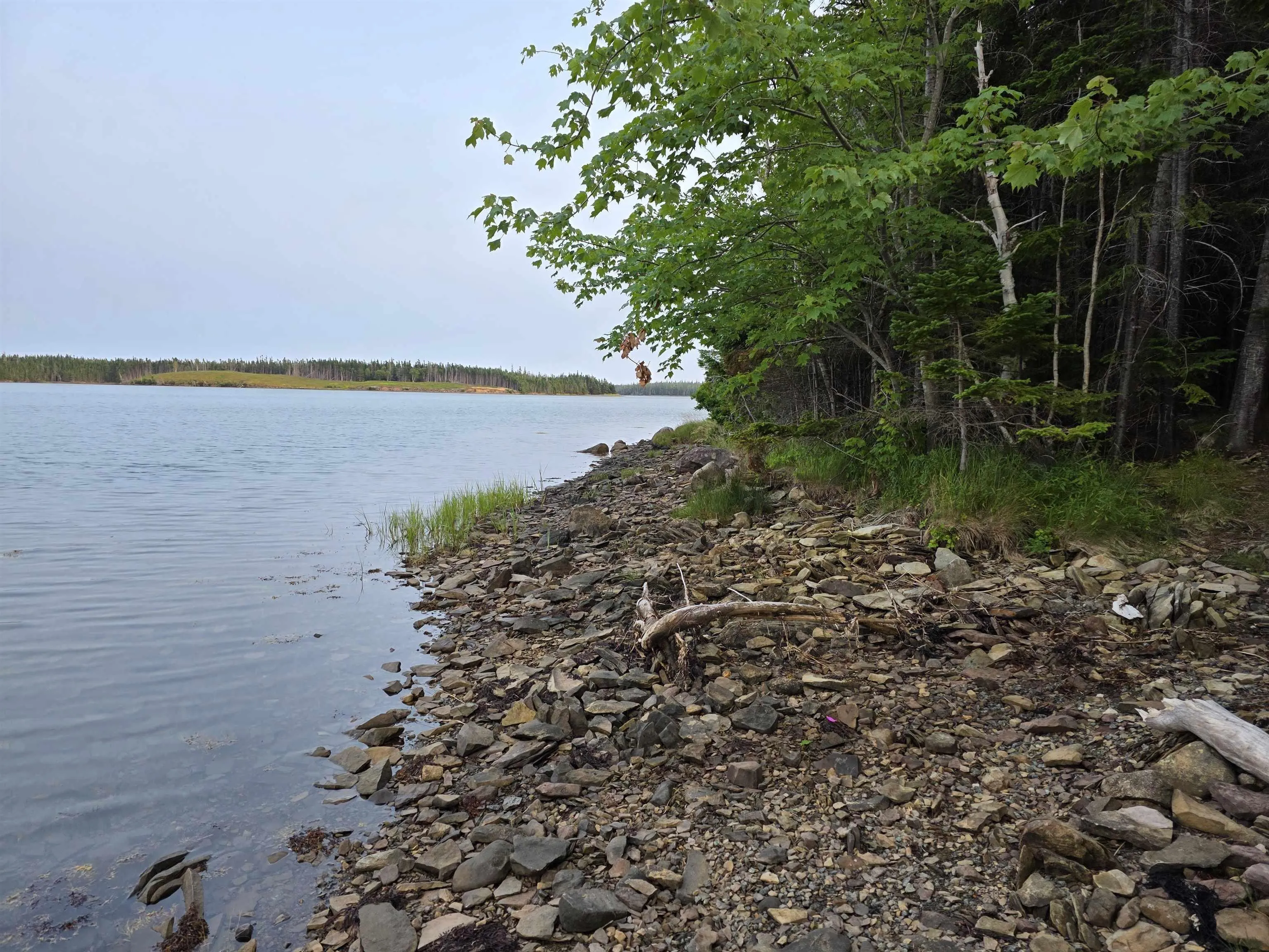 9 Grand Gully Road, River Tillard, NS B0E 2X0, 3 Bedrooms Bedrooms, ,2 BathroomsBathrooms,Residential,For Sale,Grand Gully,202521182