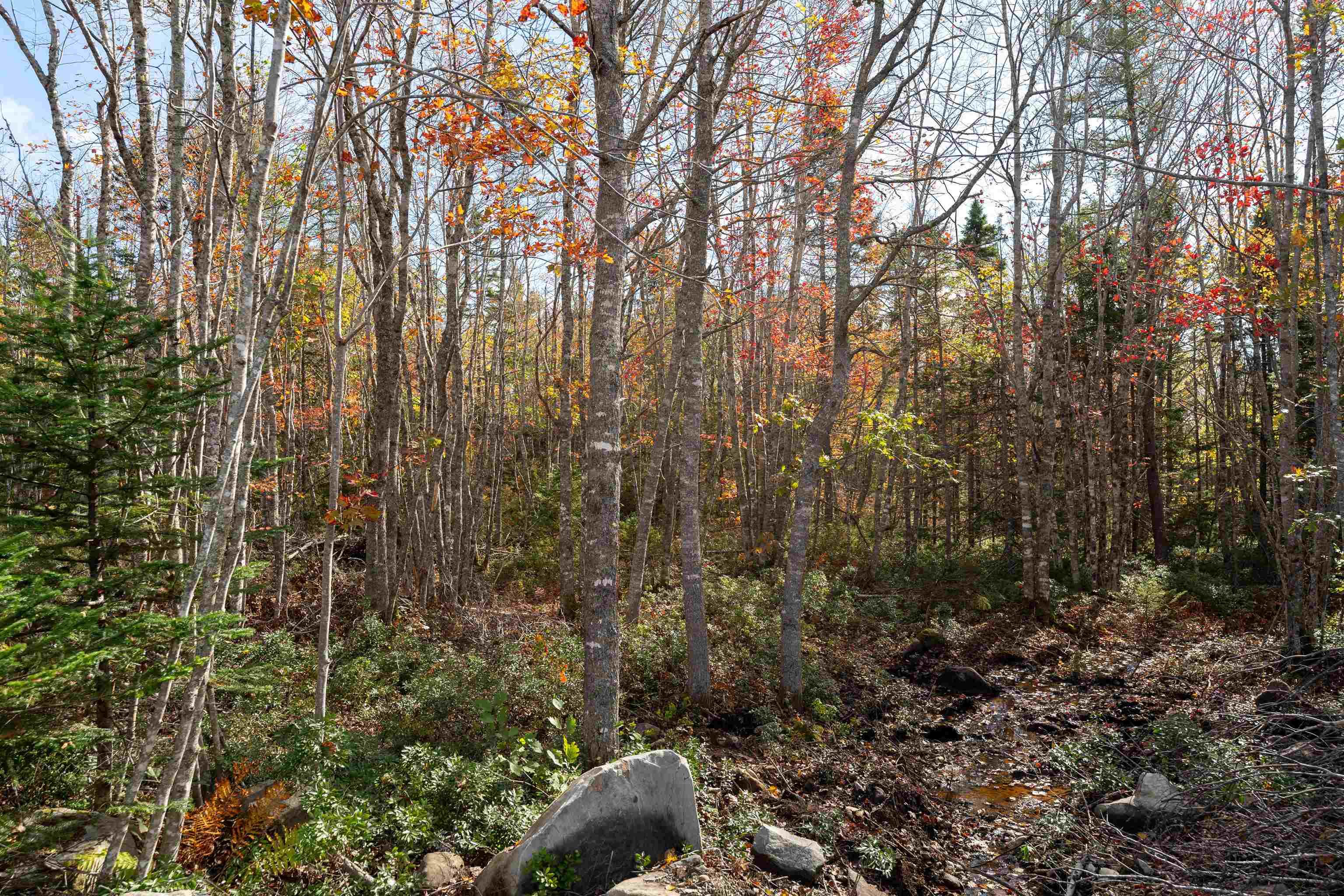 Morton Drive, Liverpool NS B0T 1K0, ,Land,For Sale,Morton,202323388