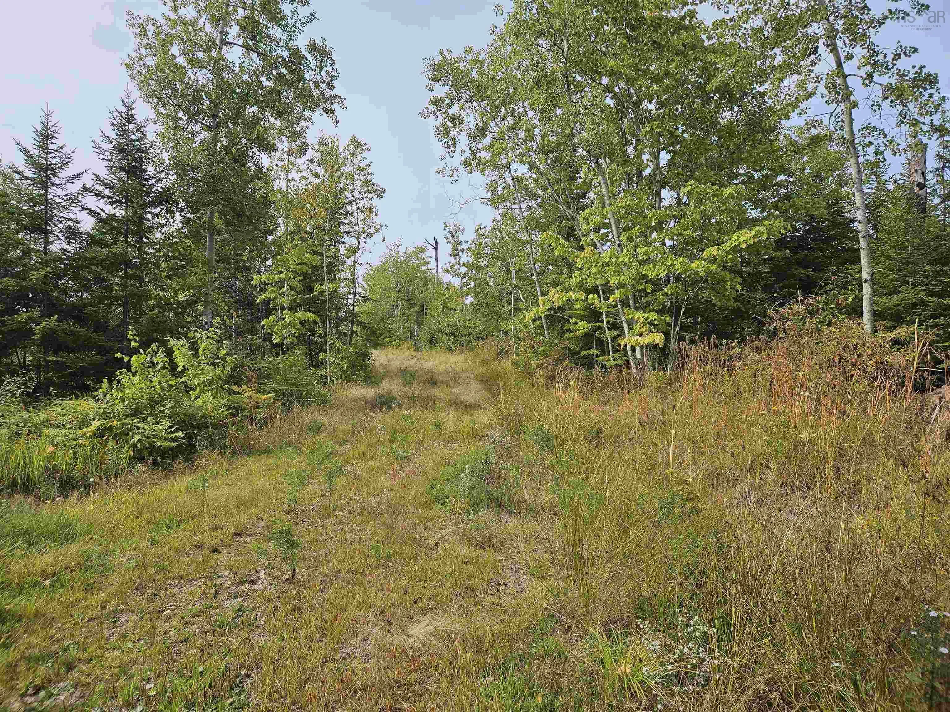 6620 & 6488 Hwy#321 Highway, Roslin, NS B0M 1P0, 1 Bedroom Bedrooms, ,Residential,For Sale,Hwy#321,202523153