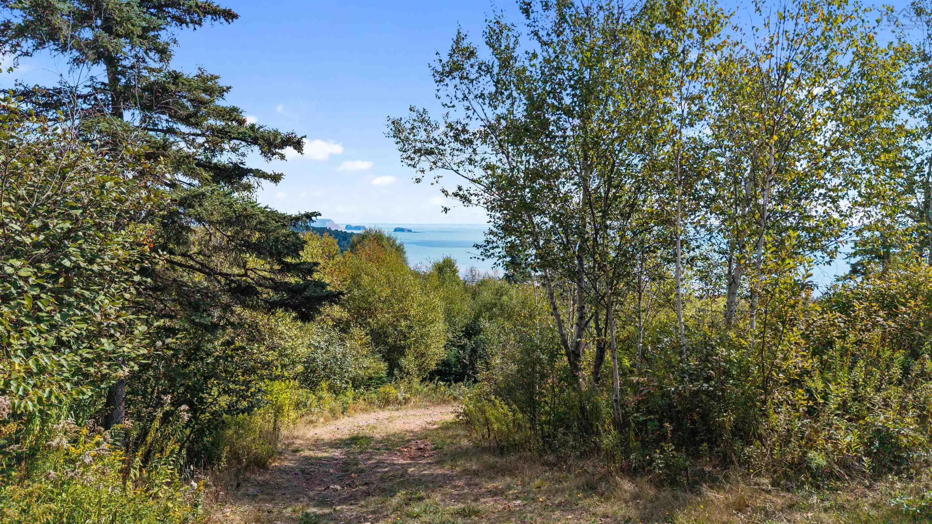 2367 Two Islands Road, Two Islands Ns B0m 1s0, 2 Bedrooms Bedrooms, ,1 BathroomBathrooms,Residential,For Sale,Two Islands,202501051