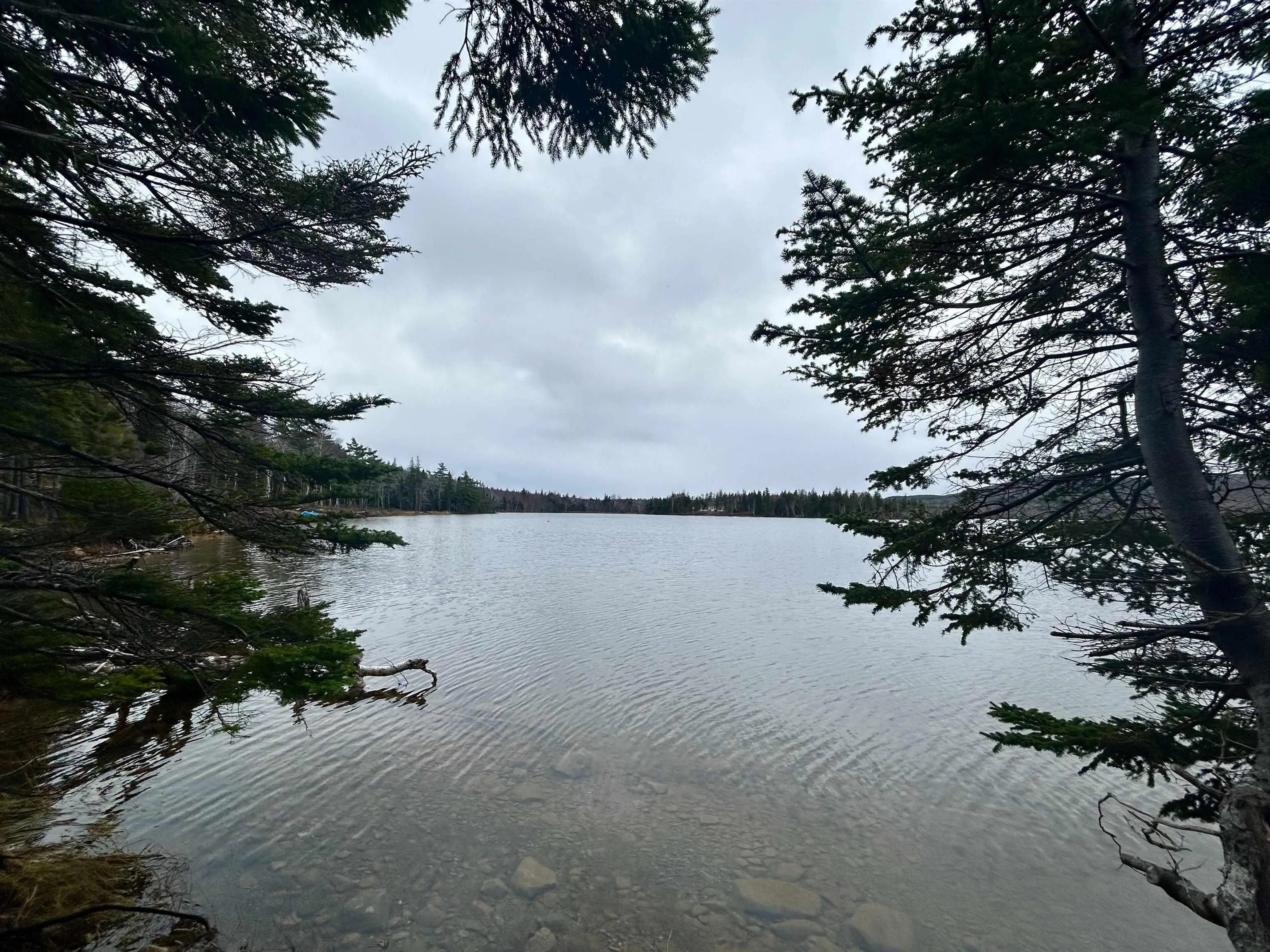Lot 3ef Militia Point Road, Militia Point Ns B0e 2y0, ,Land,For Sale,Militia Point,202427337