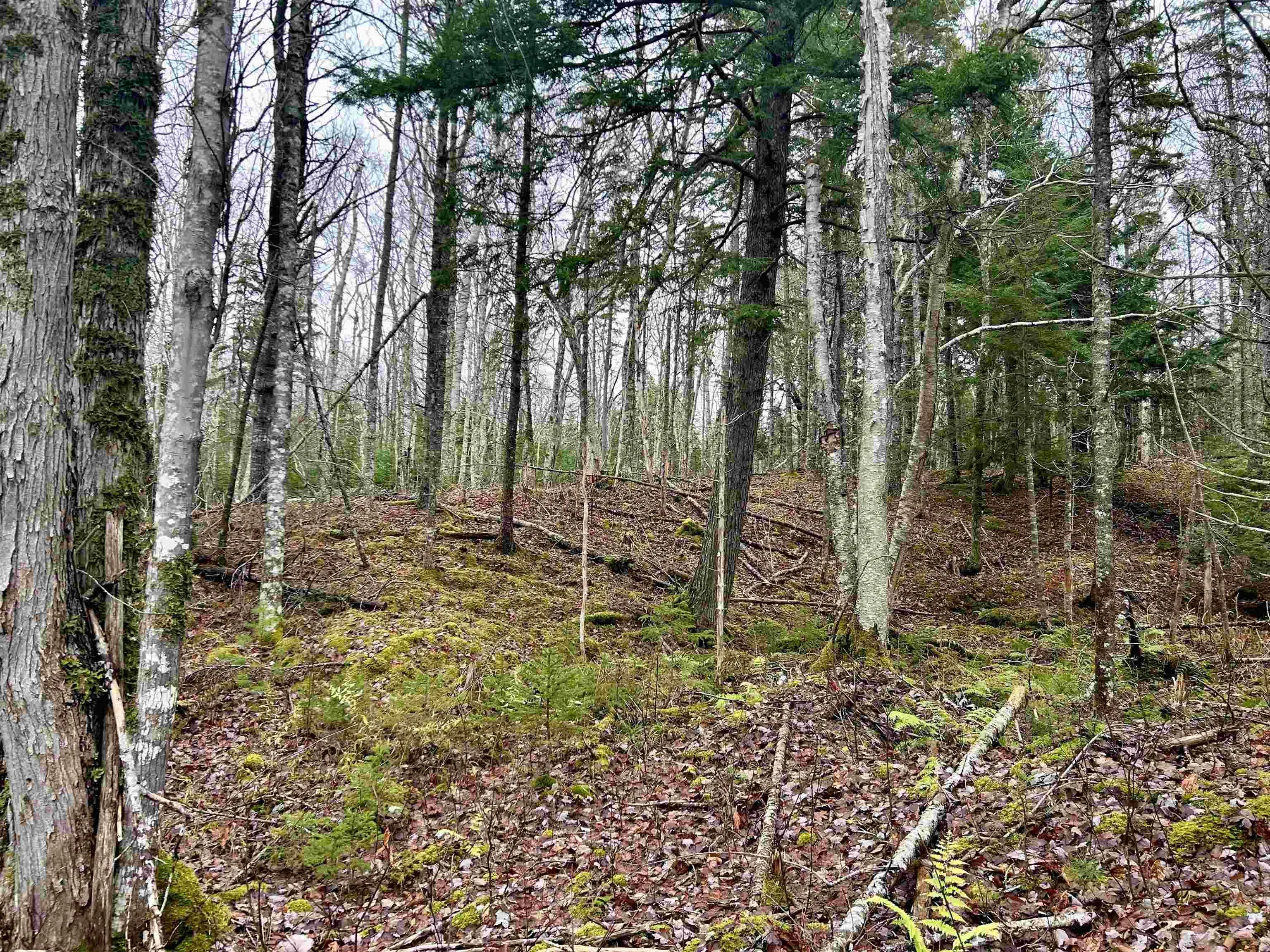 Lot 3ef Militia Point Road, Militia Point Ns B0e 2y0, ,Land,For Sale,Militia Point,202427337
