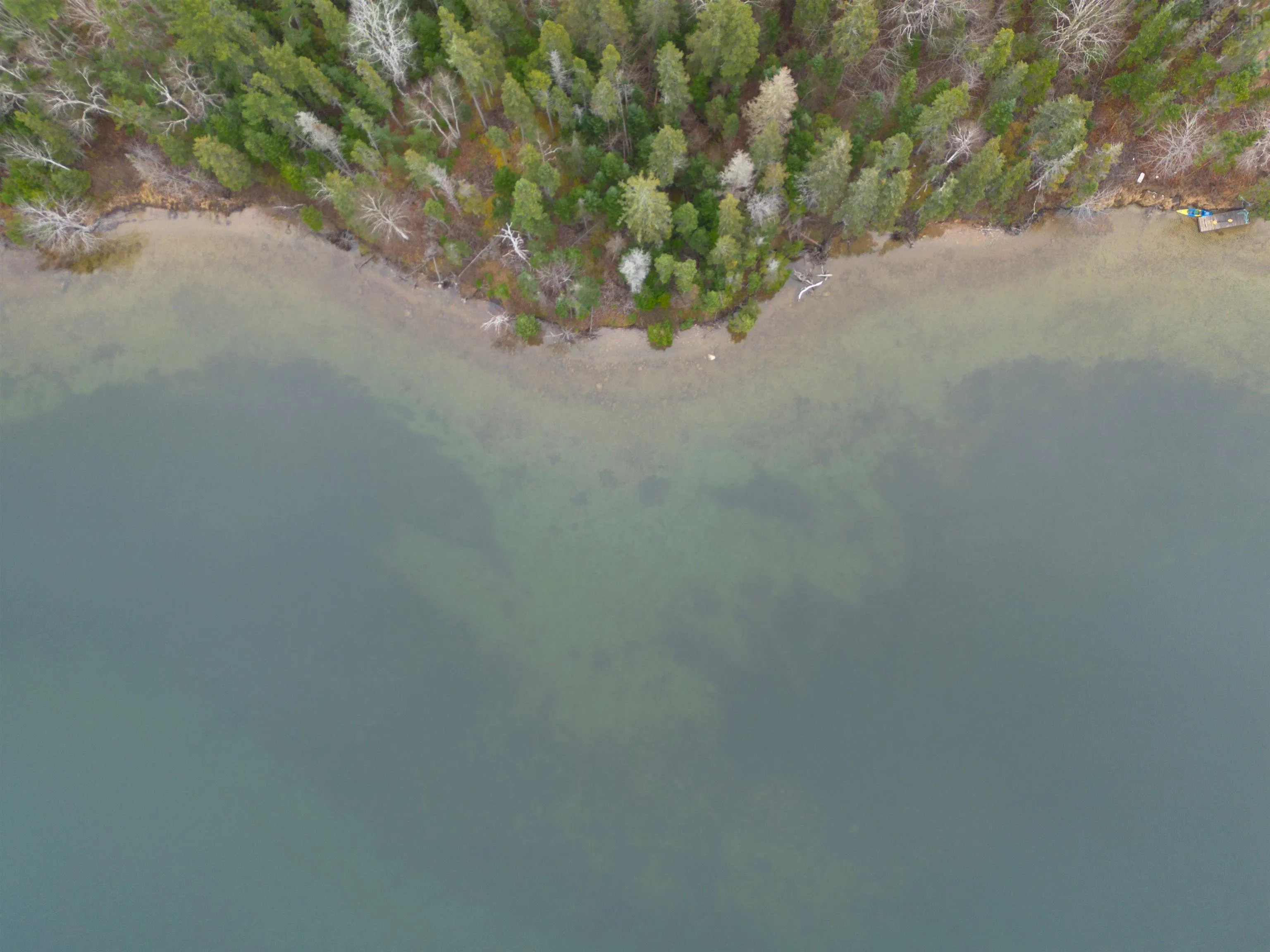 Lot 3ef Militia Point Road, Militia Point Ns B0e 2y0, ,Land,For Sale,Militia Point,202427337