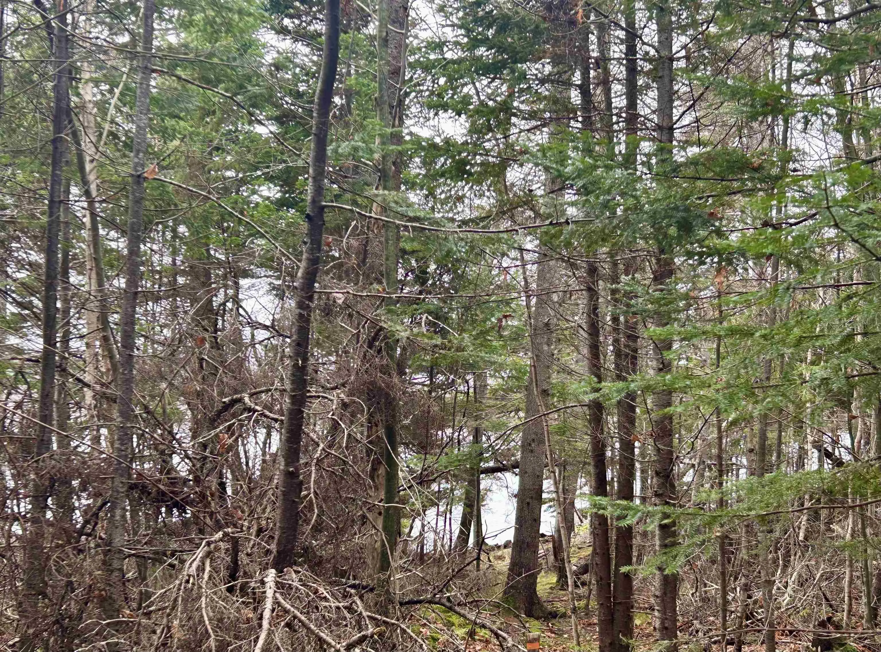 Lot 3ef Militia Point Road, Militia Point Ns B0e 2y0, ,Land,For Sale,Militia Point,202427337