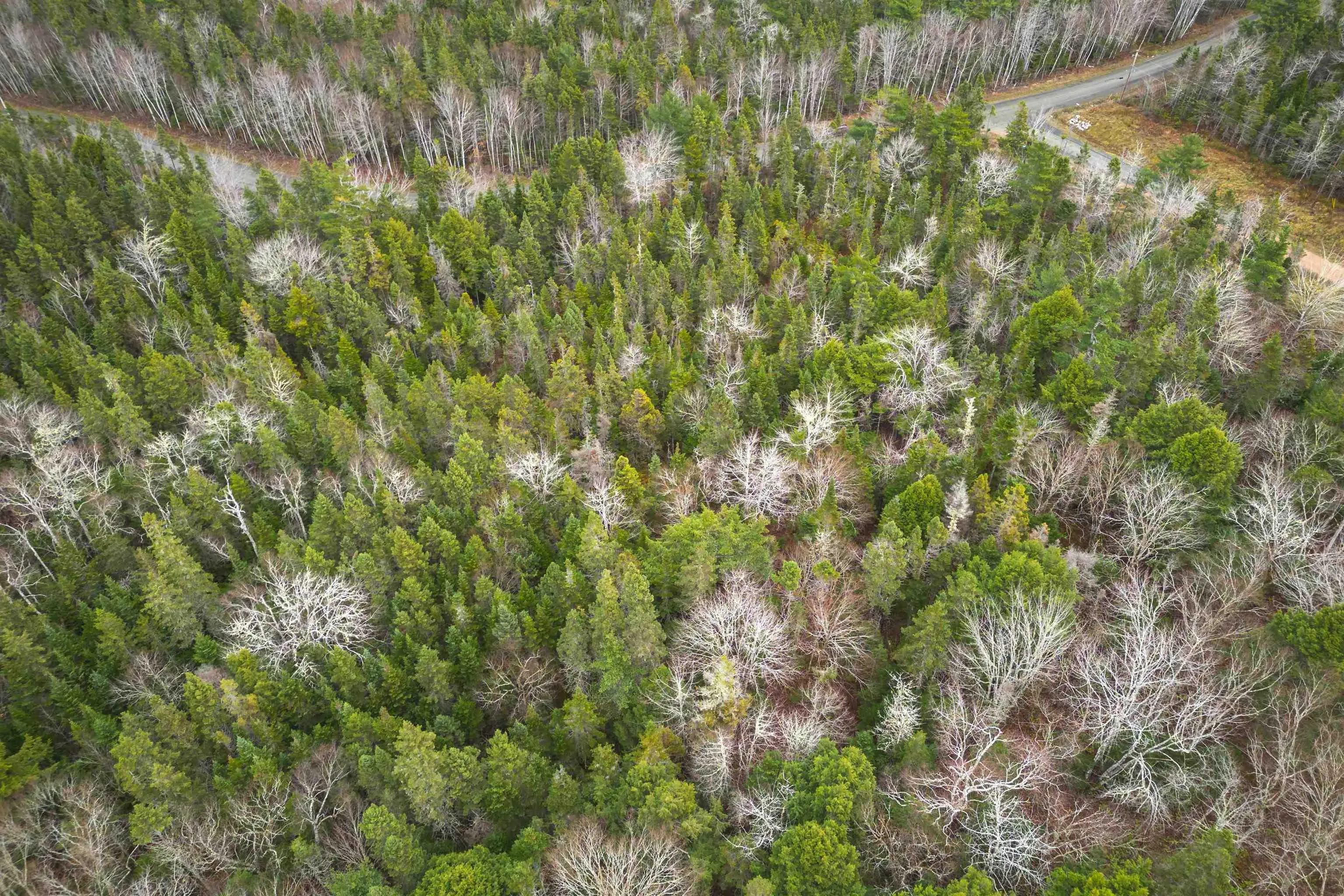 Lot 3ef Militia Point Road, Militia Point Ns B0e 2y0, ,Land,For Sale,Militia Point,202427337