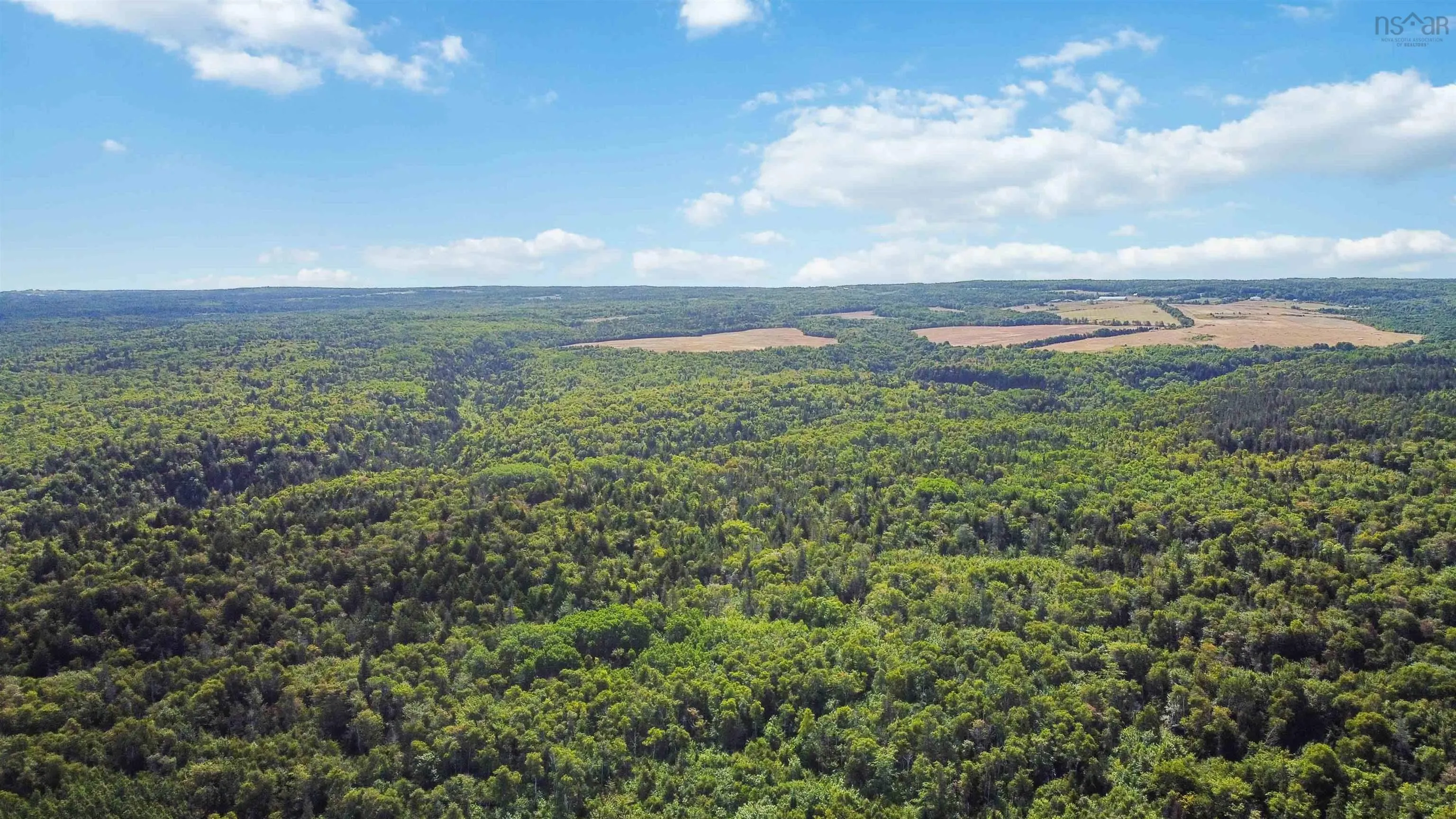 Al Bennett Road, Halls Harbour, NS B0P 1J0, ,Land,For Sale,Al Bennett,202505198