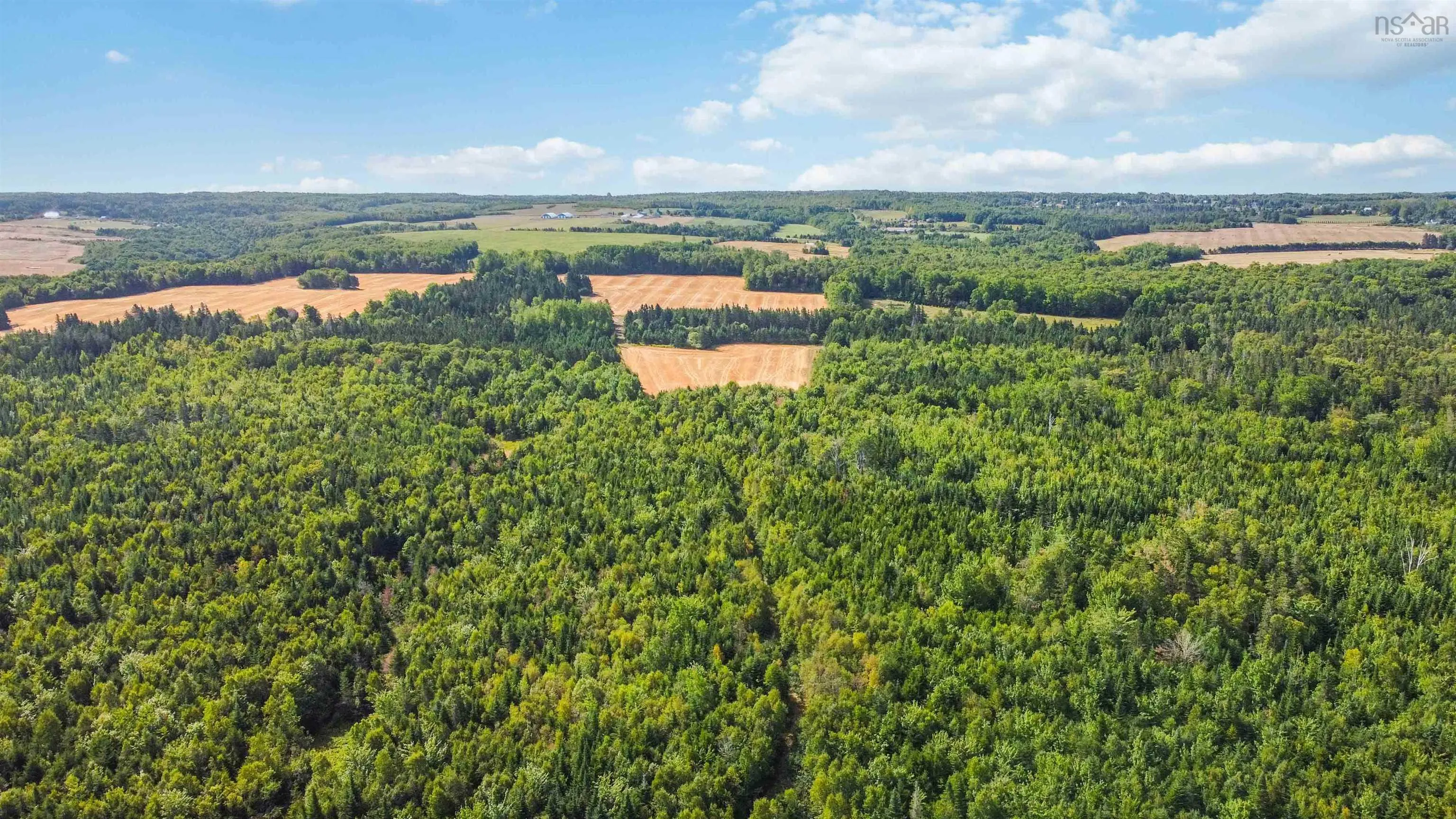 Al Bennett Road, Halls Harbour, NS B0P 1J0, ,Land,For Sale,Al Bennett,202505198