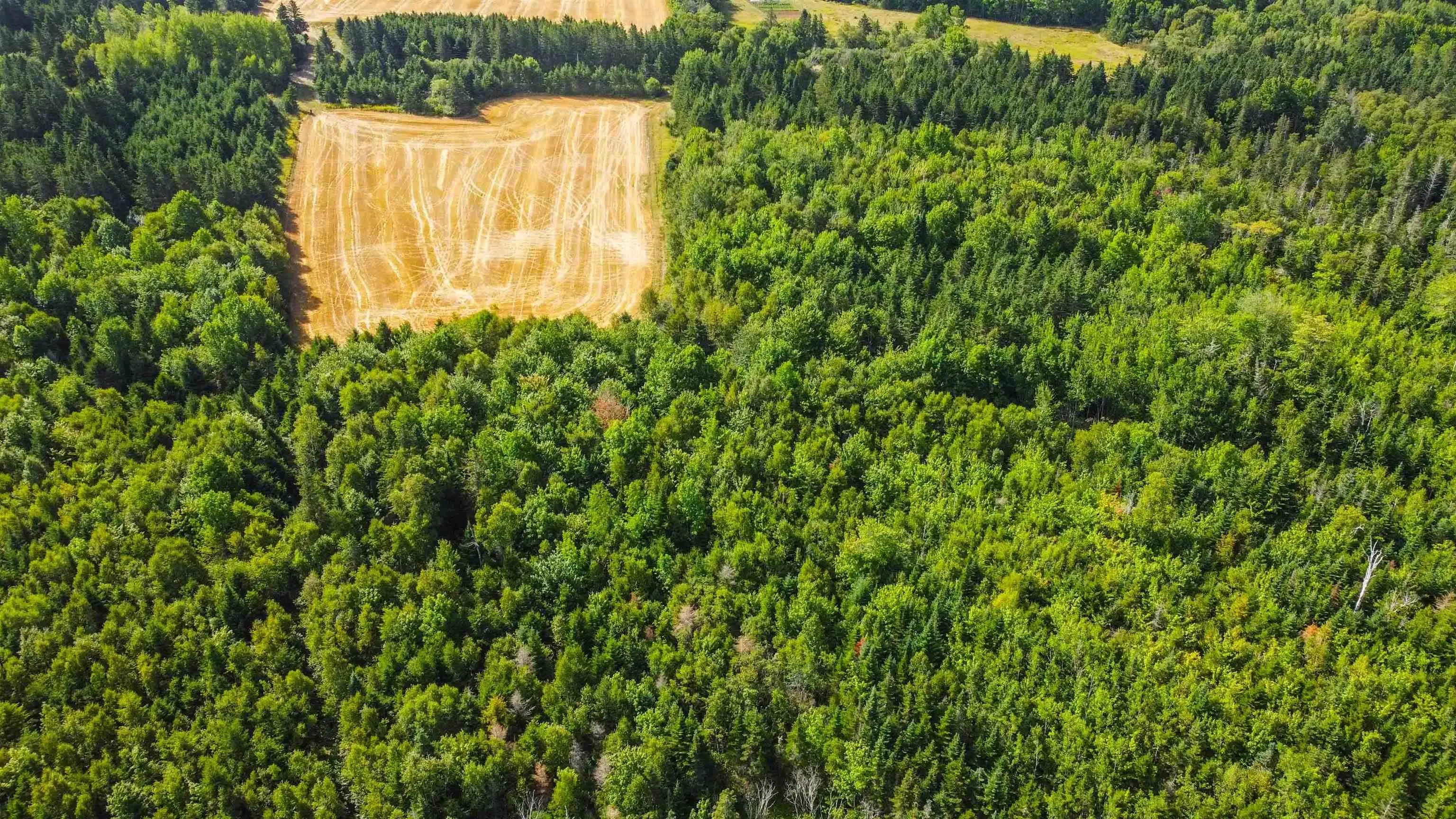 Al Bennett Road, Halls Harbour, NS B0P 1J0, ,Land,For Sale,Al Bennett,202505198