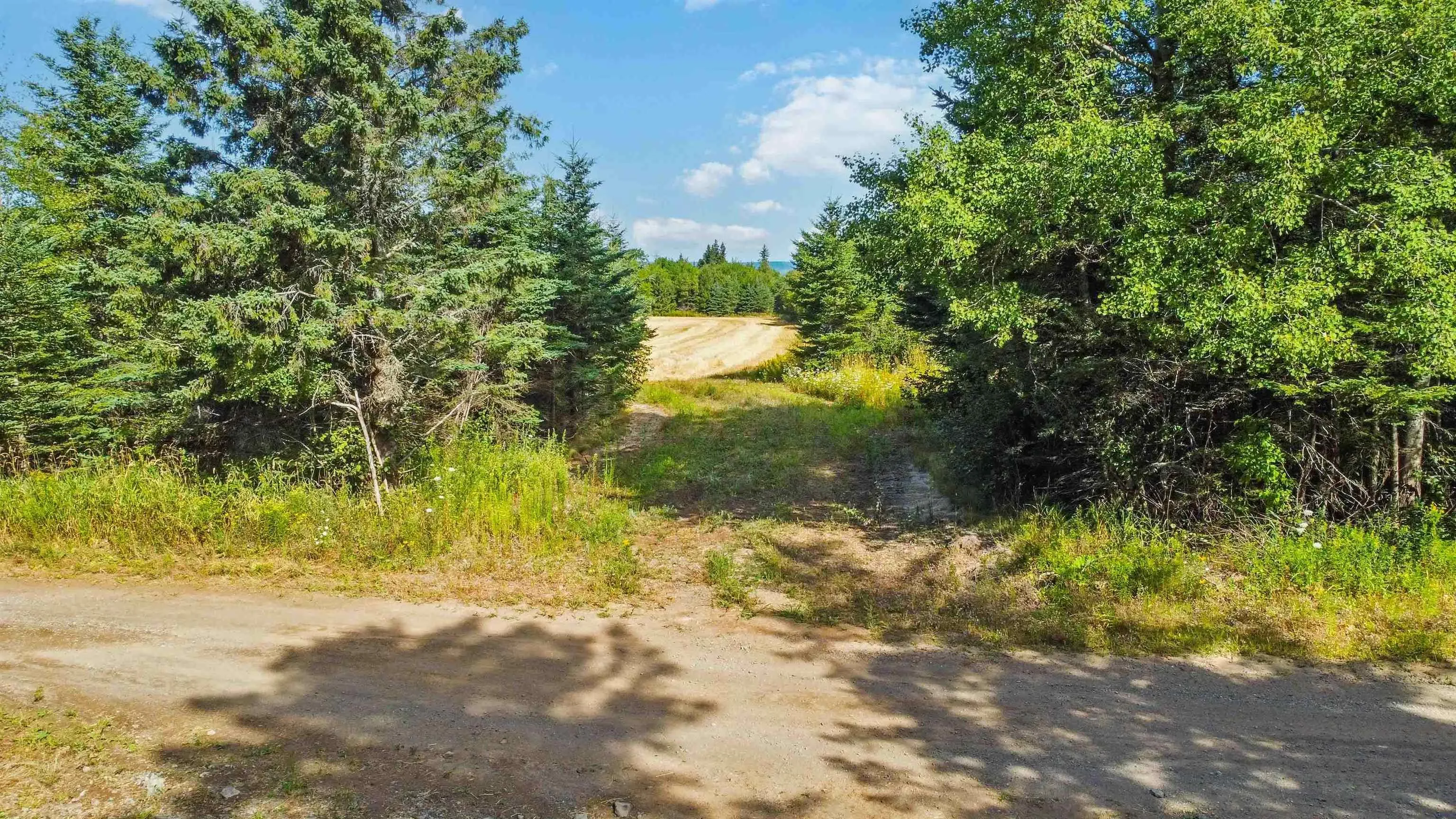 Al Bennett Road, Halls Harbour, NS B0P 1J0, ,Land,For Sale,Al Bennett,202505198