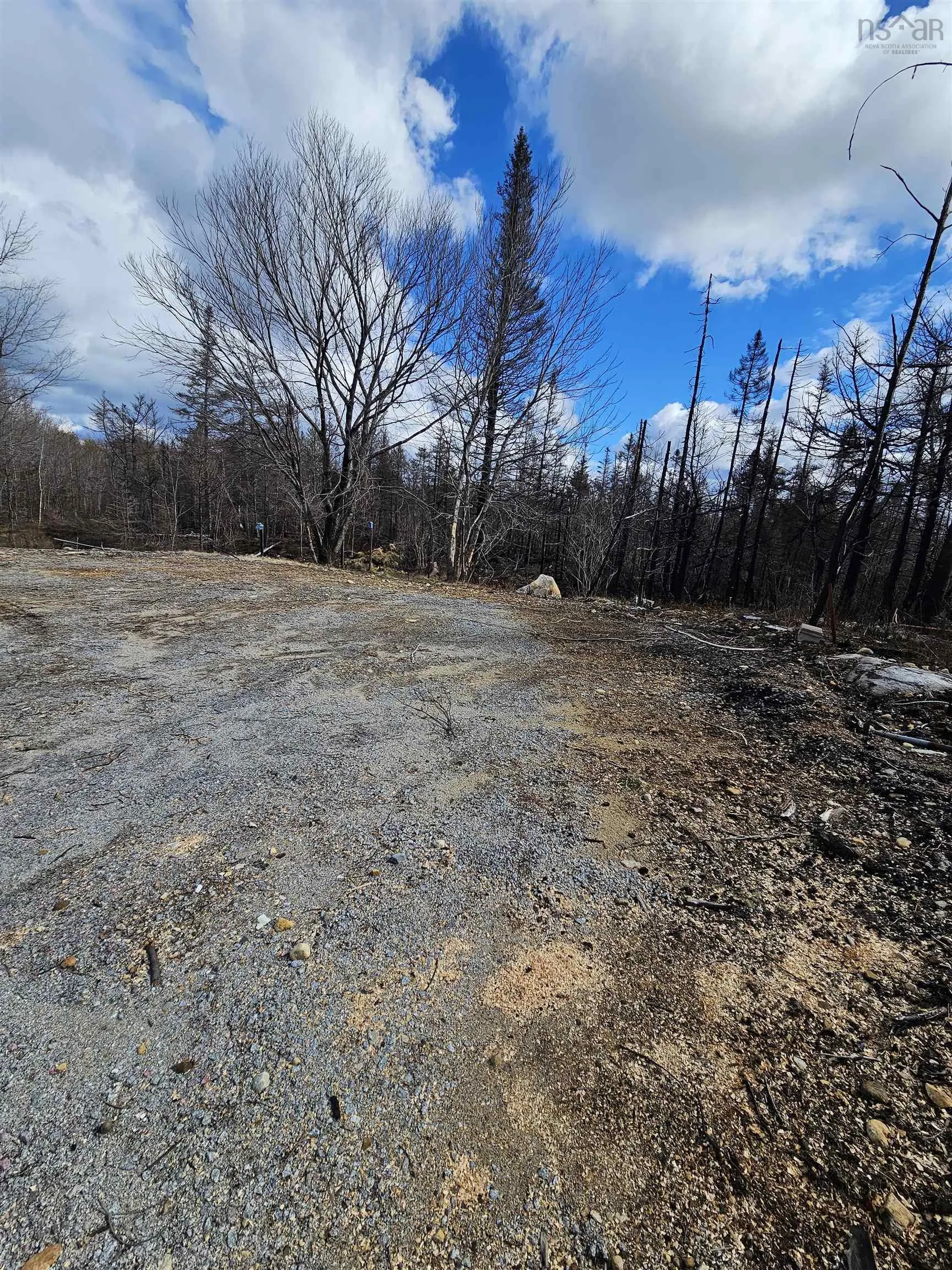 700 Quinns Road, Clyde River Ns B0w 1r0, ,Land,For Sale,Quinns,202320532