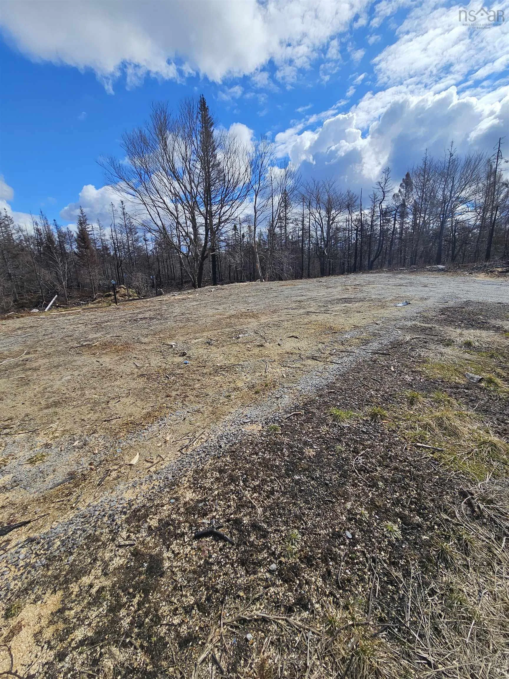 700 Quinns Road, Clyde River Ns B0w 1r0, ,Land,For Sale,Quinns,202320532