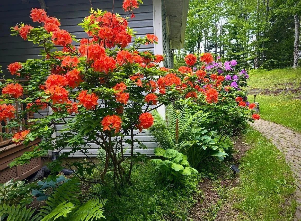 390 Gleneagles Drive, Hammonds Plains Ns B4b 1v8, 5 Bedrooms Bedrooms, ,3 BathroomsBathrooms,Residential,For Sale,Gleneagles,202507774