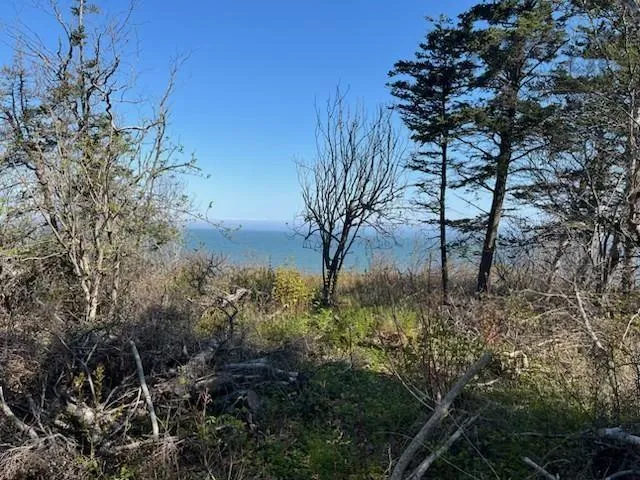 13 Pelton Mountain Road, Centreville, NS B4N 3V7, ,Land,For Sale,Pelton Mountain,202516031