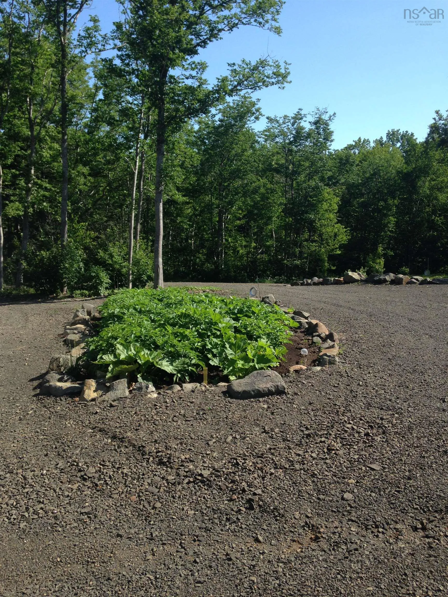 1336 Culloden Road, Culloden, NS B0V 1A0, 1 Bedroom Bedrooms, ,Residential,For Sale,Culloden,202519059