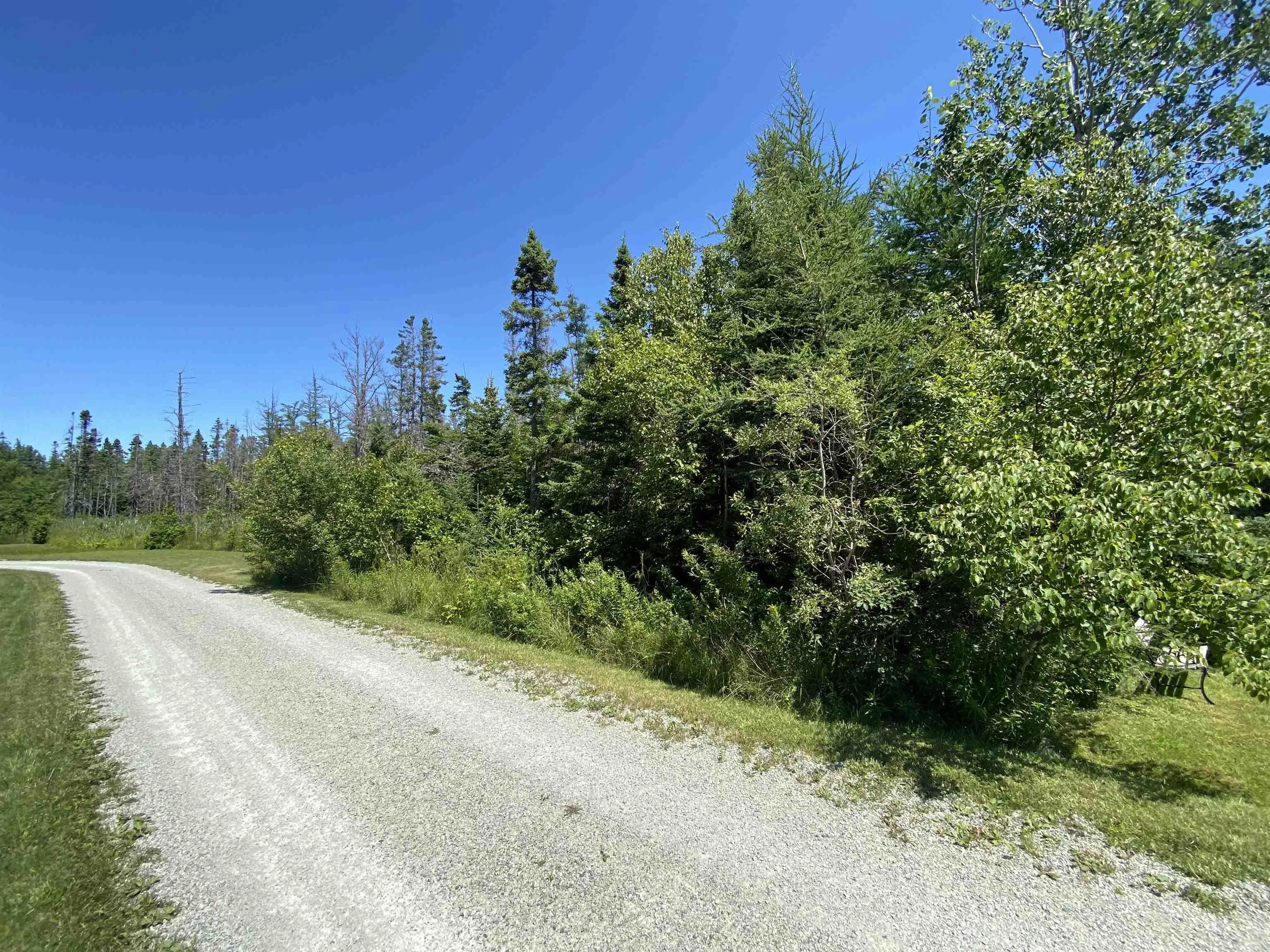 Lot River Denys Road, Judique Ns B0e 1p0, ,Land,For Sale,River Denys,202421460