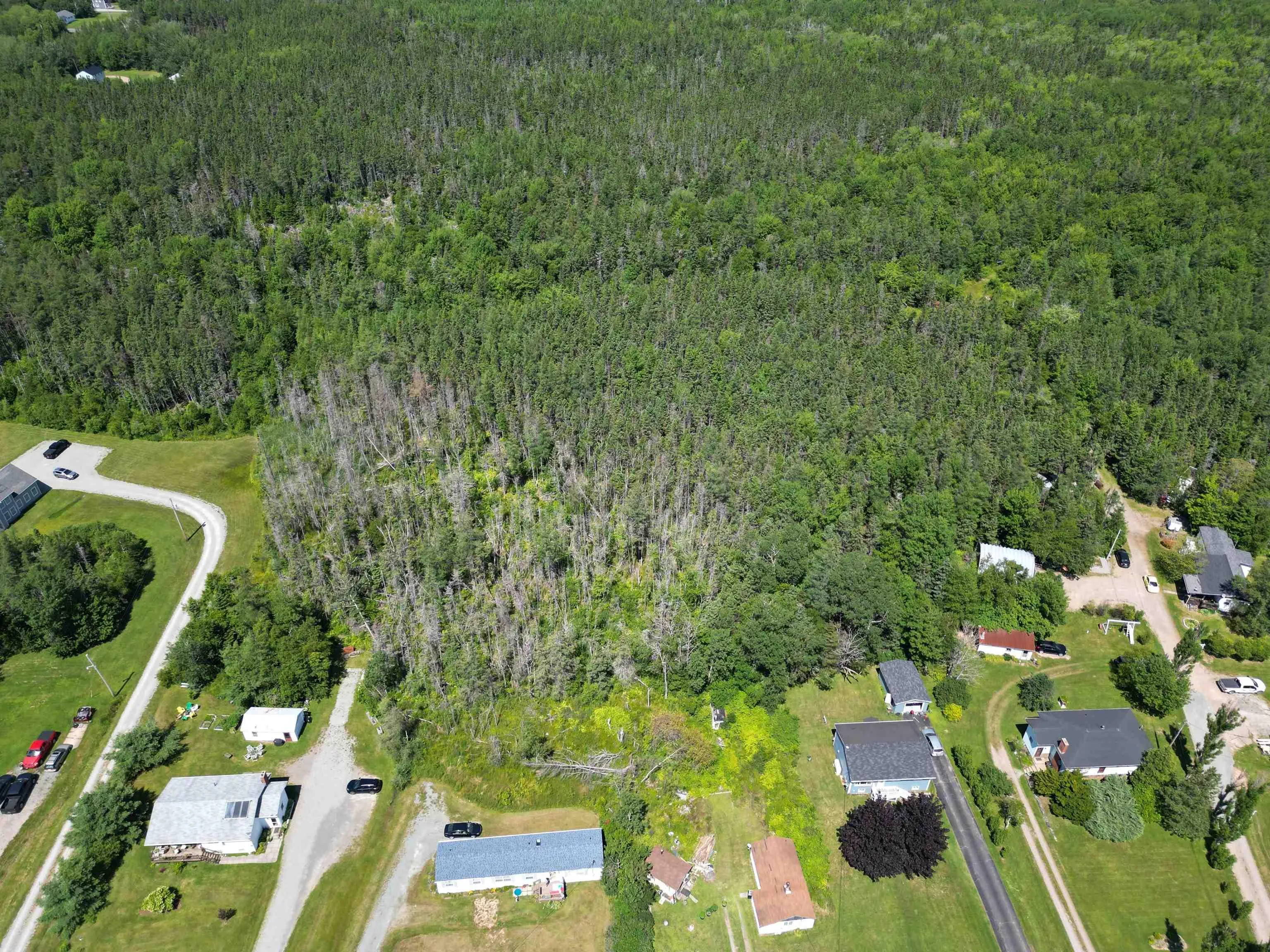 Lot River Denys Road, Judique Ns B0e 1p0, ,Land,For Sale,River Denys,202421460
