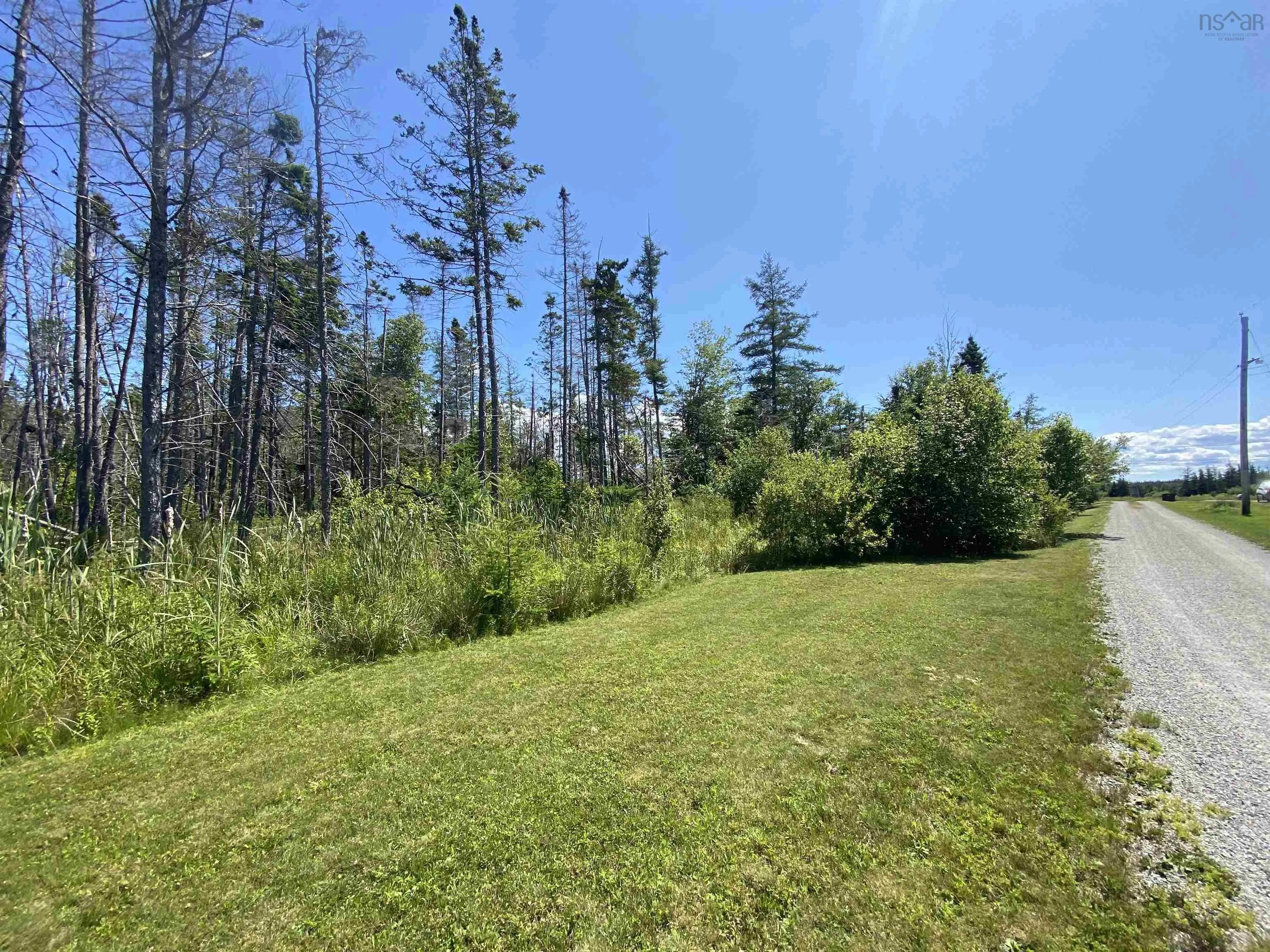Lot River Denys Road, Judique Ns B0e 1p0, ,Land,For Sale,River Denys,202421460