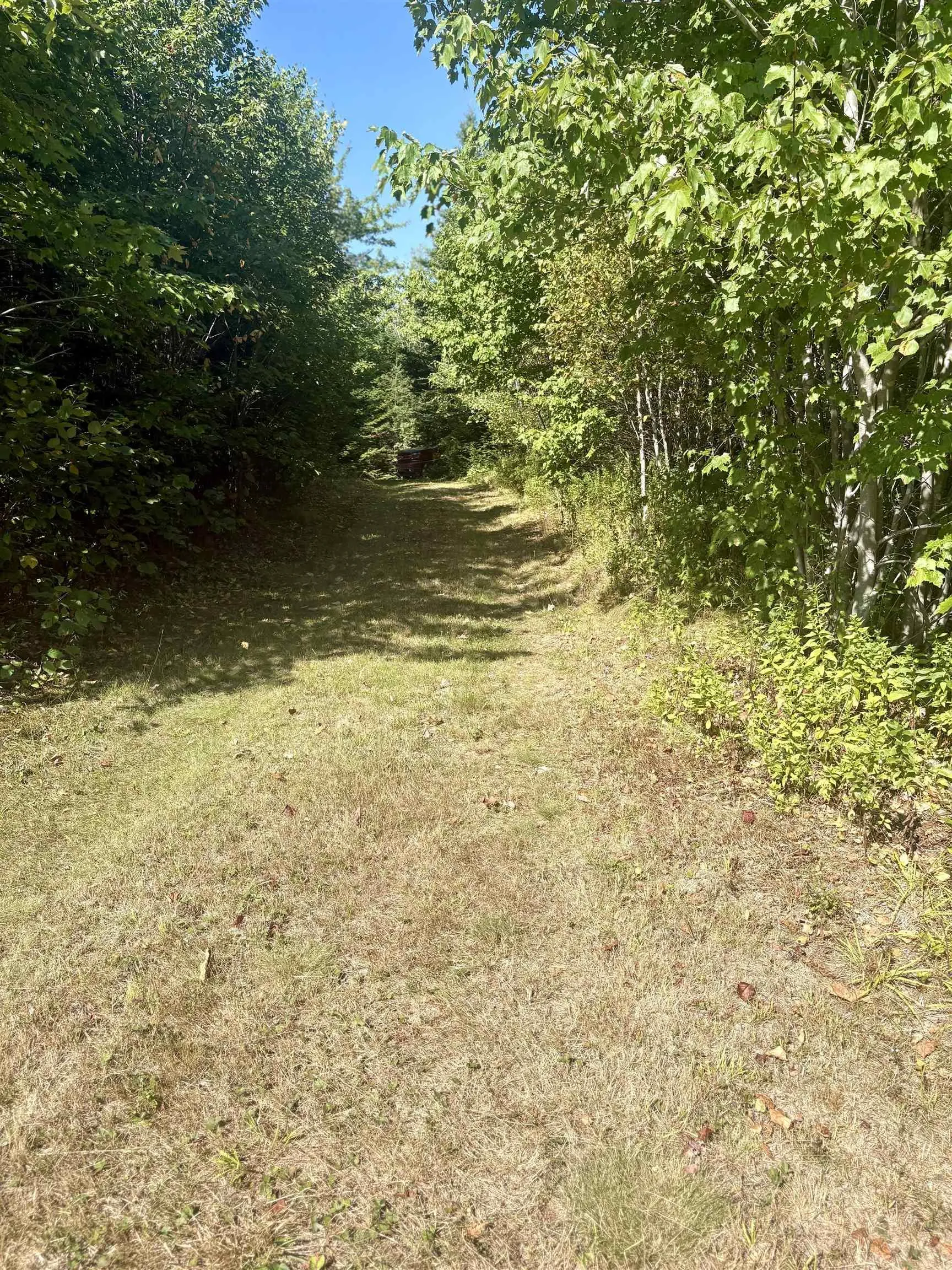 94 Old Castlereagh Road, Bass River, NS B0M 1B0, ,Land,For Sale,Old Castlereagh,202521014