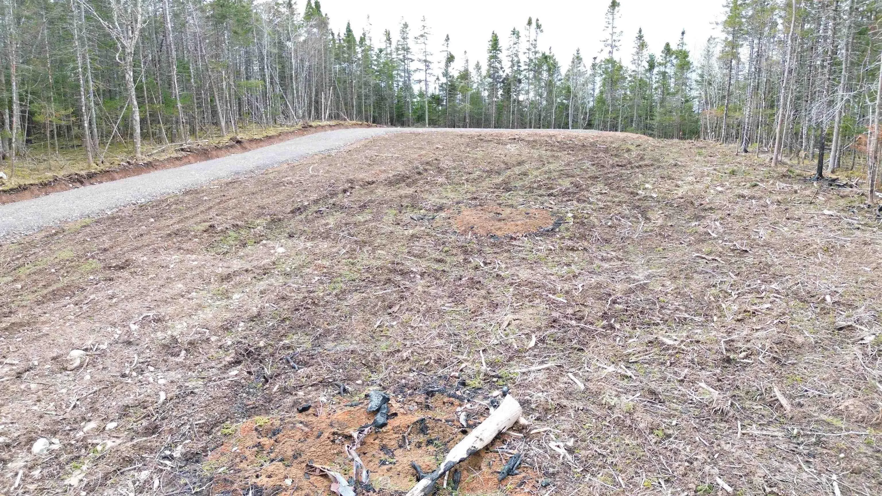 Lot 2 French Cove Road, French Cove, NS B0E 3B0, ,Land,For Sale,French Cove,202501826