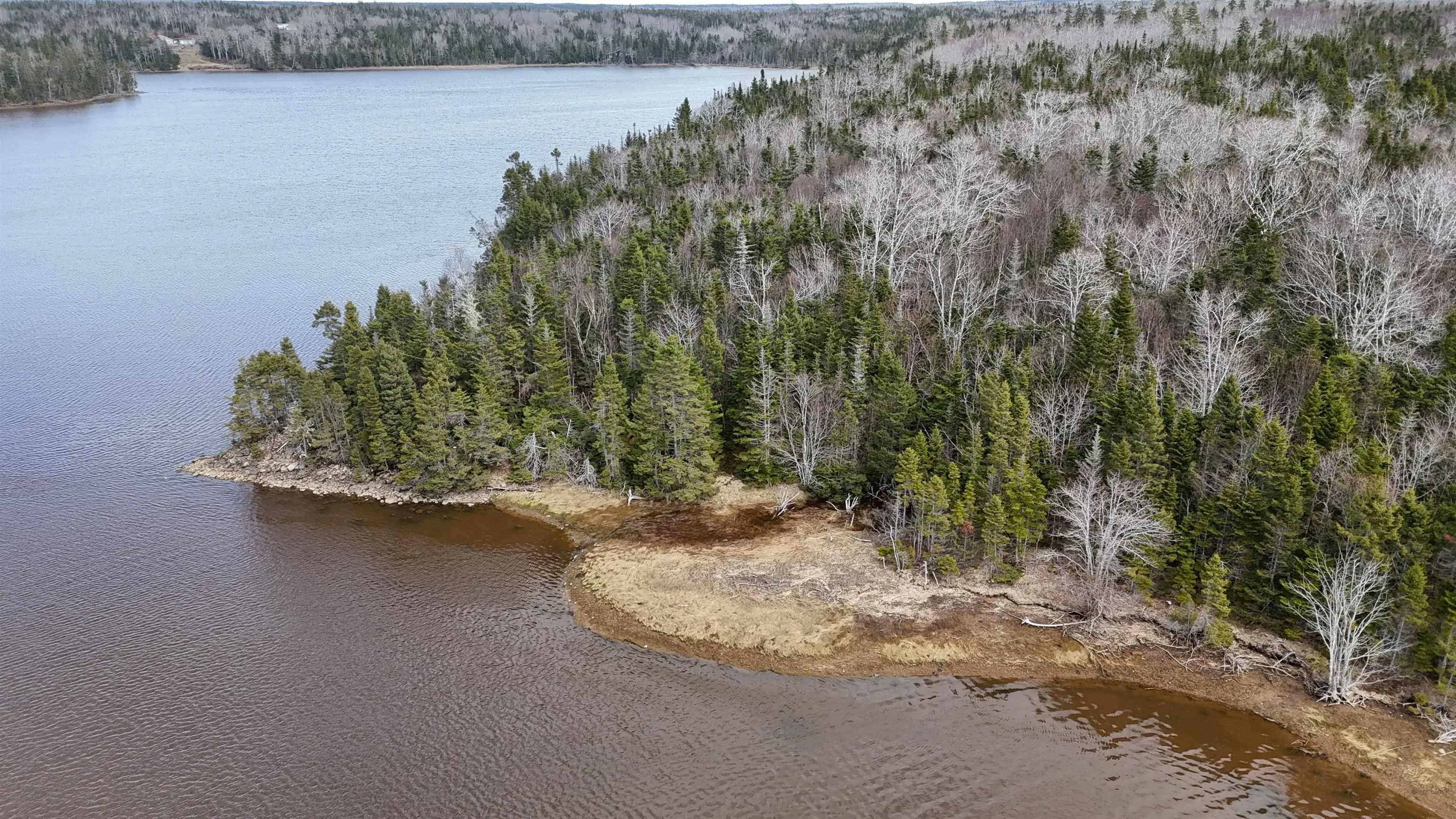 Mink Point Road, Evanston, NS B0E 1J0, ,Land,For Sale,Mink Point,202513005