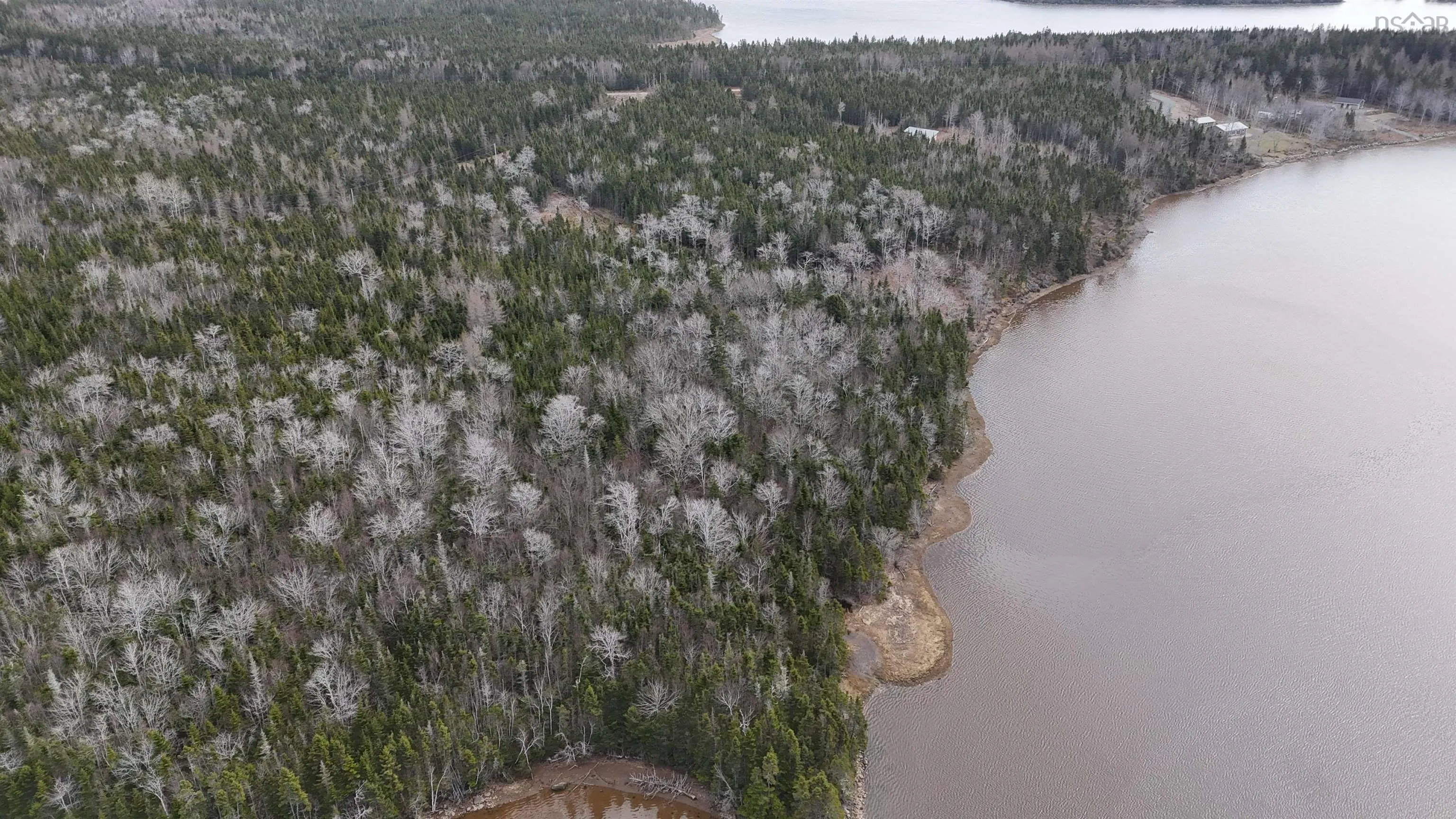 Mink Point Road, Evanston, NS B0E 1J0, ,Land,For Sale,Mink Point,202513005