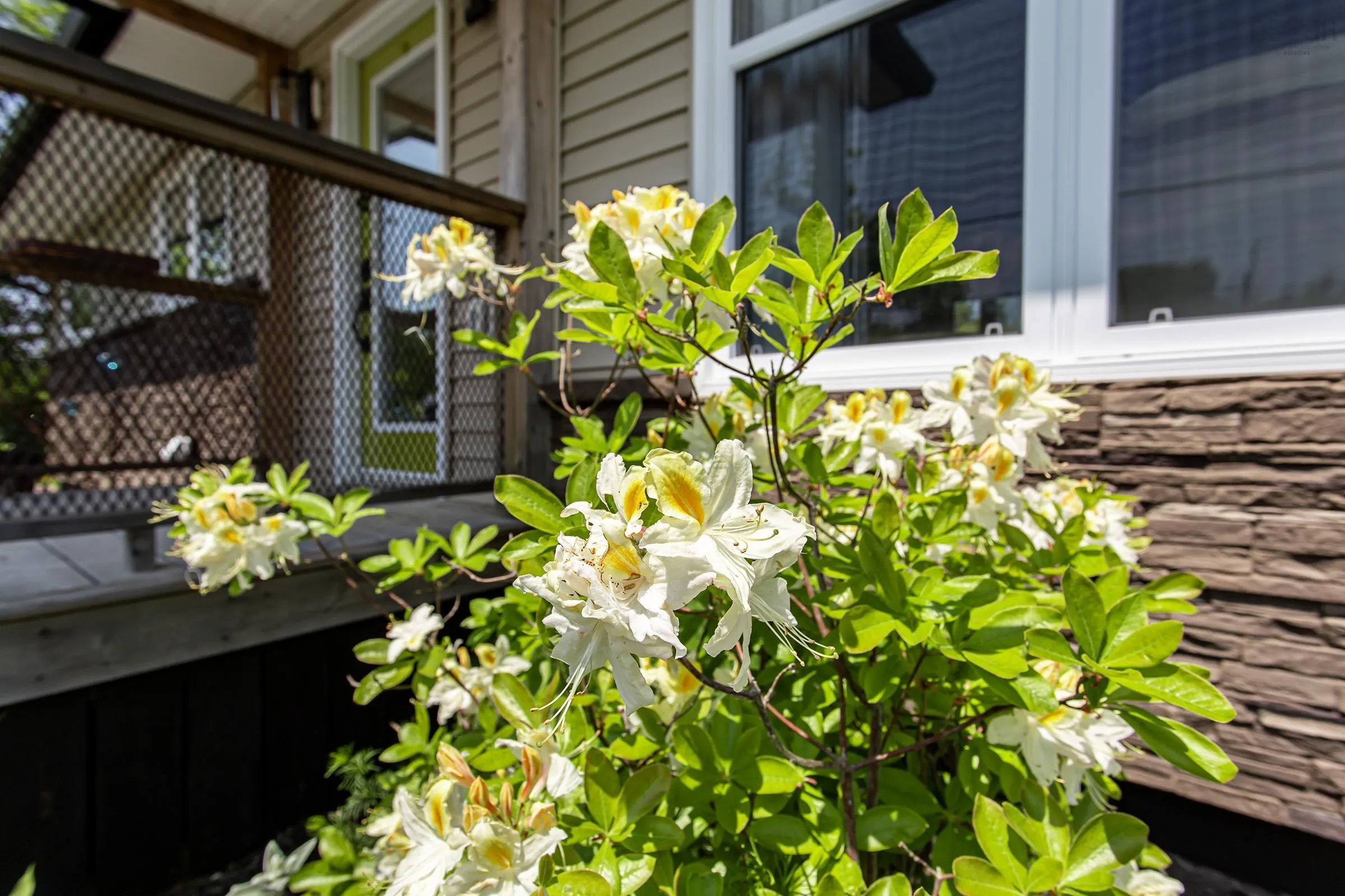 2743 Highway 1, Upper Clements, NS B0S 1A0, 2 Bedrooms Bedrooms, ,1 BathroomBathrooms,Residential,For Sale,Highway 1,202518654