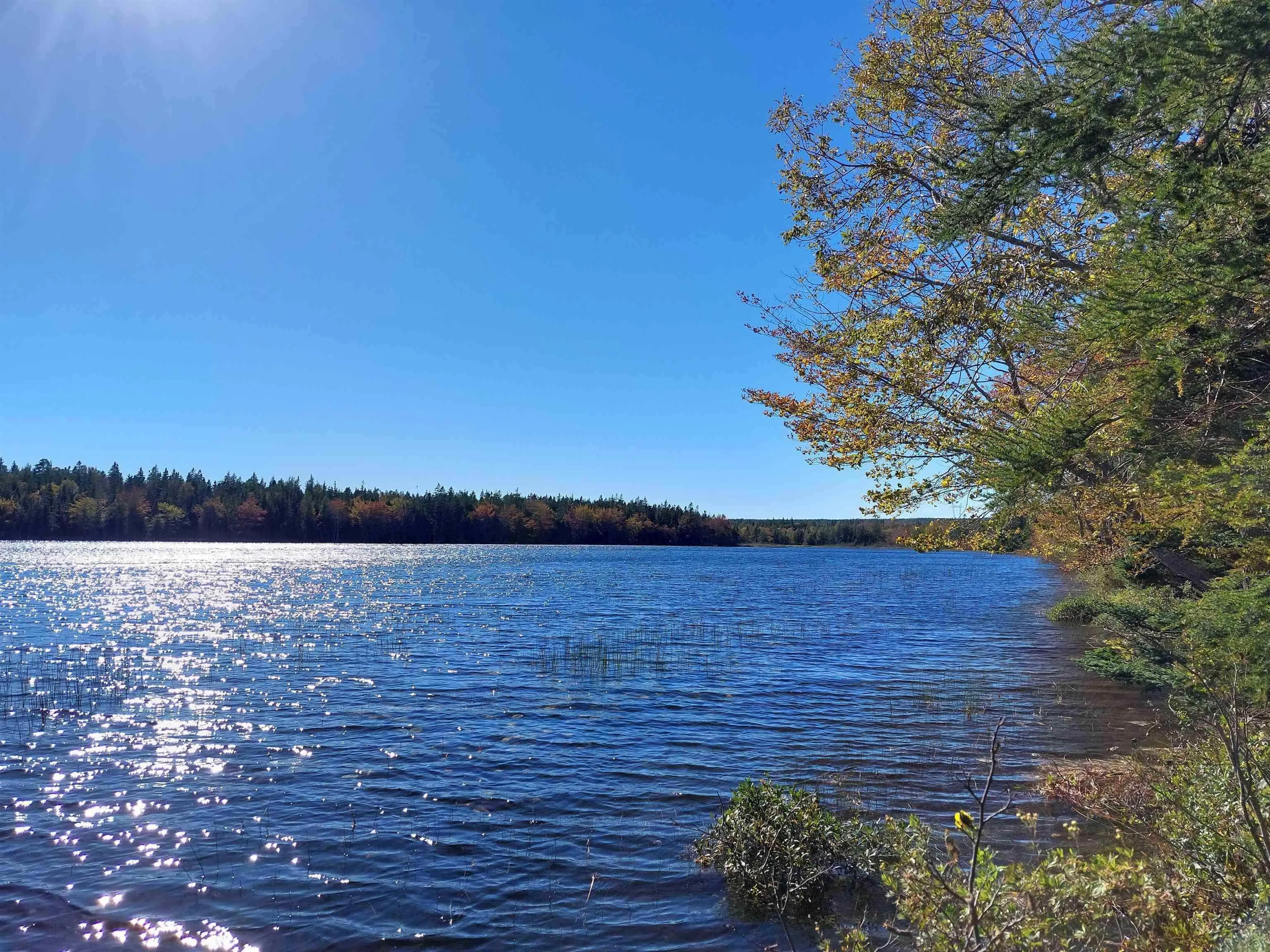 Lot 98-7c Gabe Macisaac, Loch Lomond, NS B1J 1W3, ,Land,For Sale,Gabe Macisaac, Salem Road,202523487