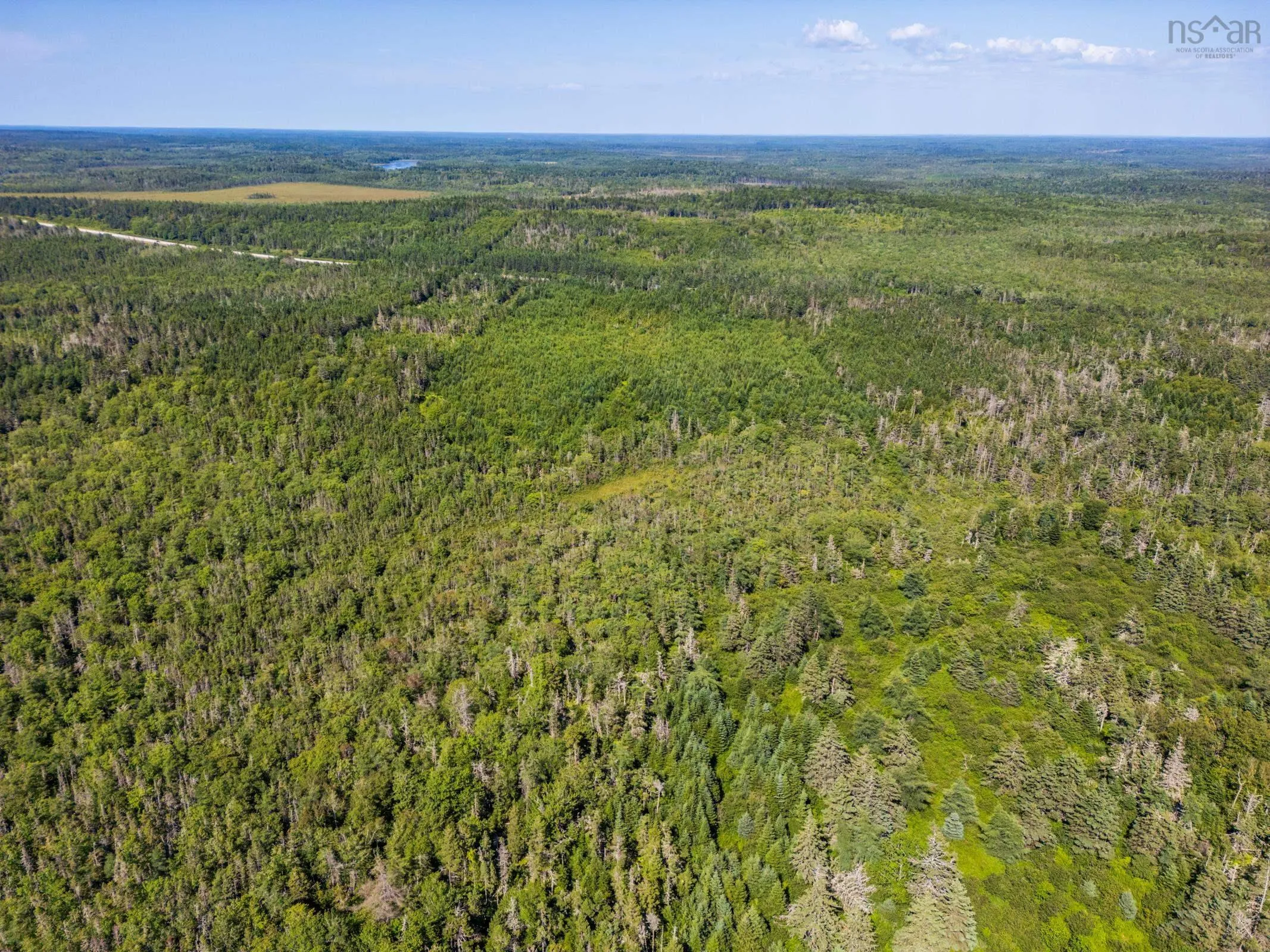 5192 Highway 1, Salmon River, NS B5A 5B2, ,Land,For Sale,Highway 1,202520233