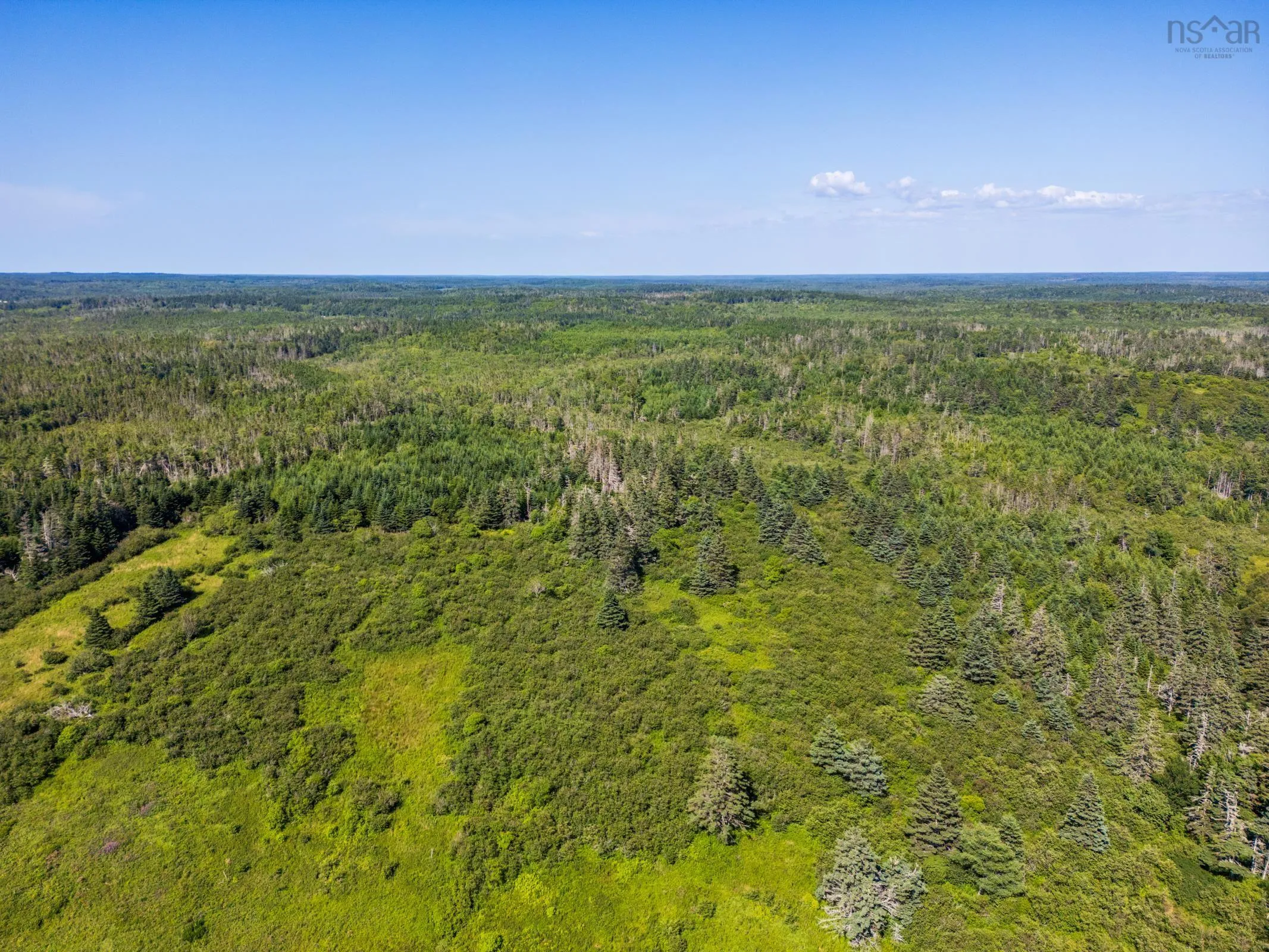 5192 Highway 1, Salmon River, NS B5A 5B2, ,Land,For Sale,Highway 1,202520233