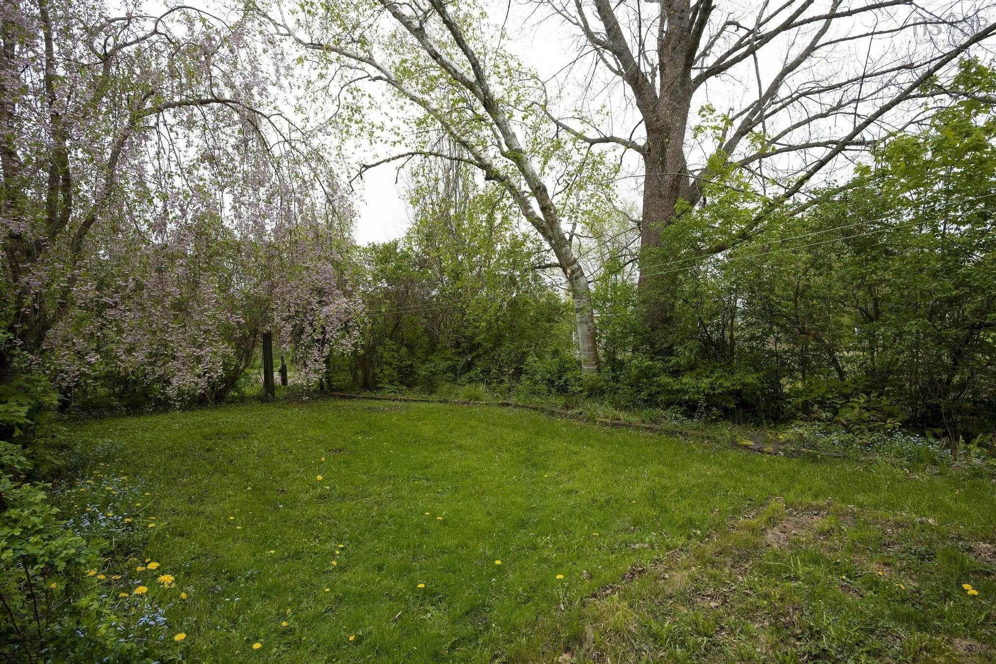 341 College Road, Windsor, NS B0N 2T0, 3 Bedrooms Bedrooms, ,2 BathroomsBathrooms,Residential,For Sale,College,202511658