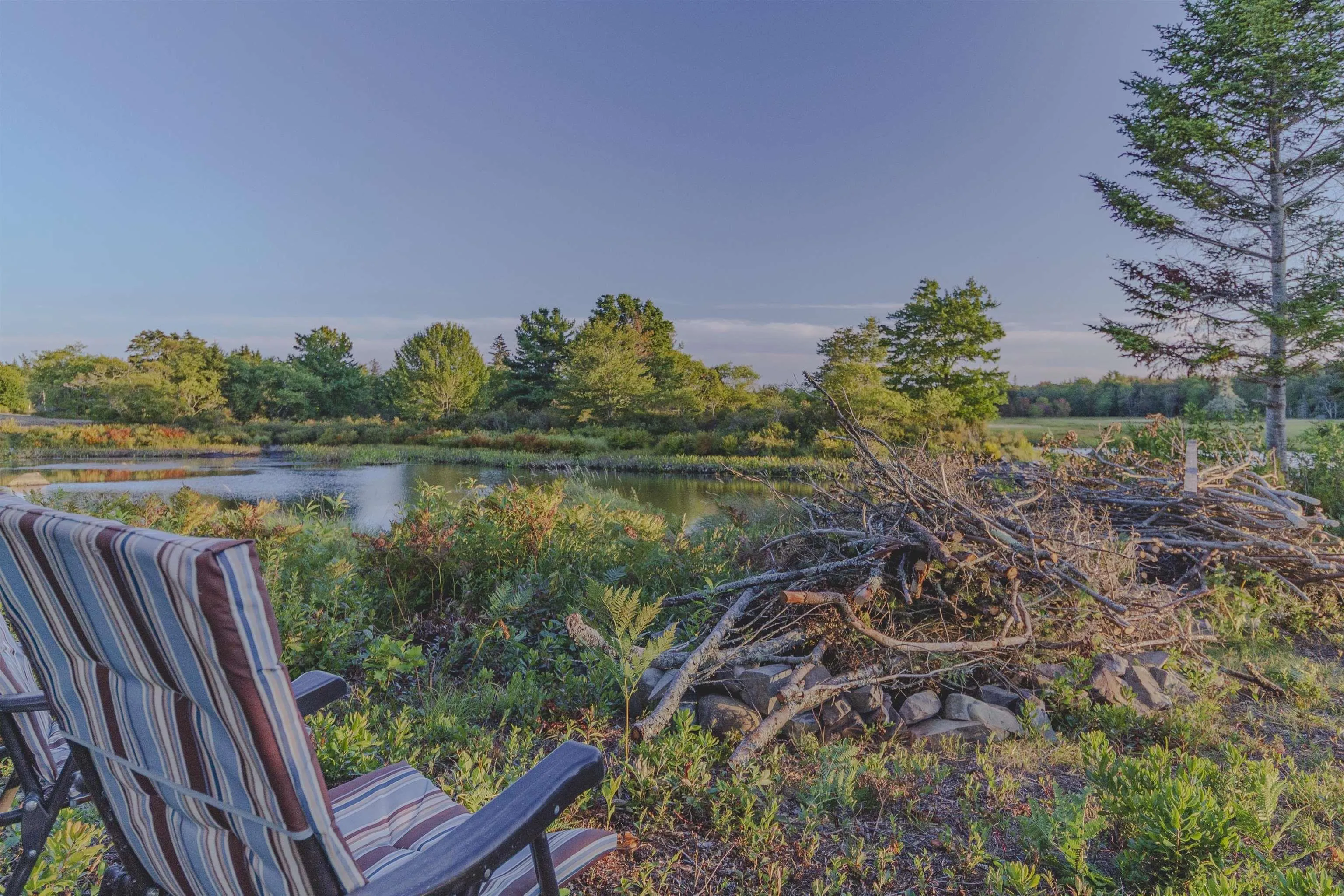 7192 Highway 308, Quinan, NS B0W 1M0, 2 Bedrooms Bedrooms, ,2 BathroomsBathrooms,Residential,For Sale,Highway 308,202523532