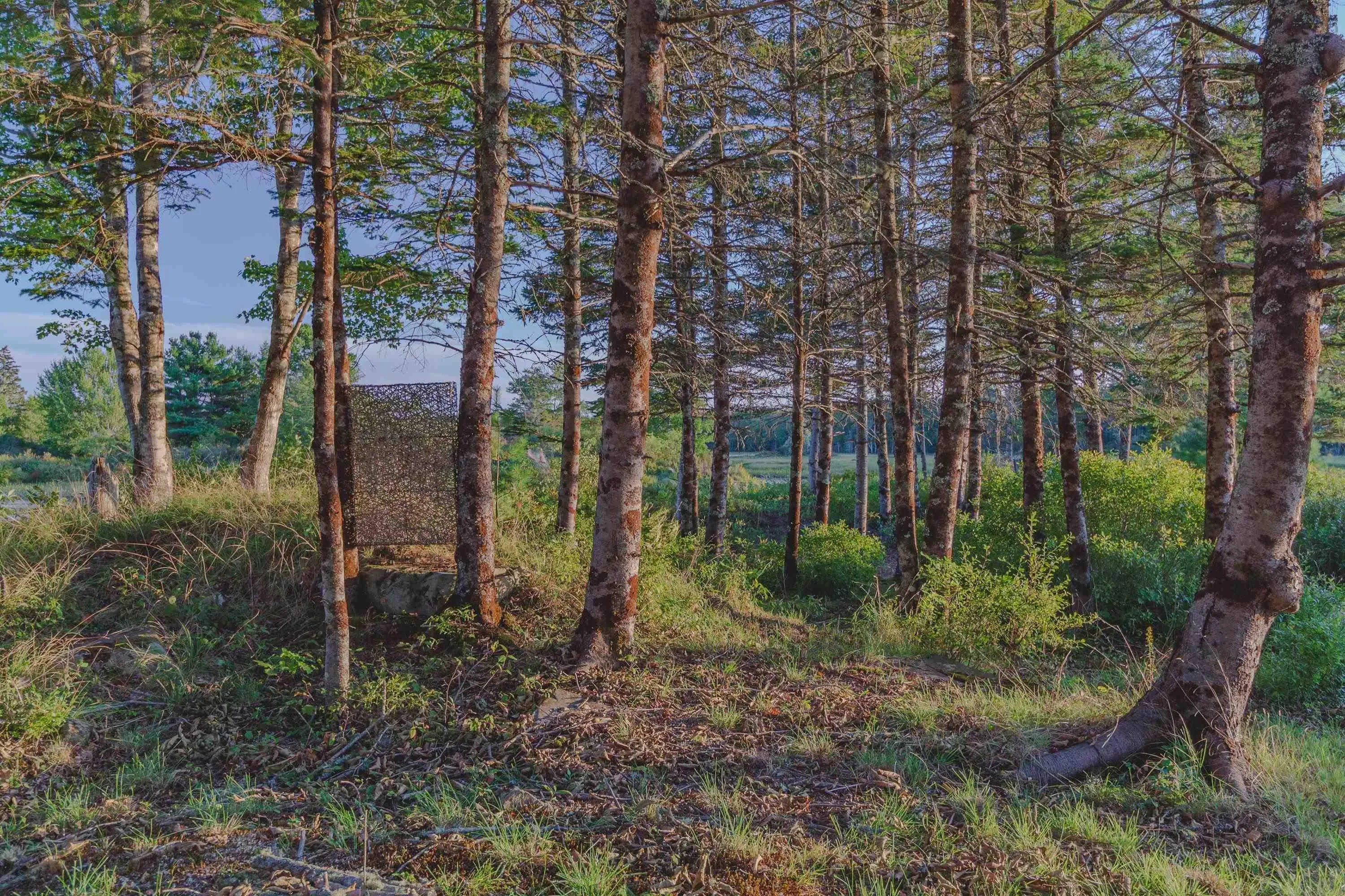 7192 Highway 308, Quinan, NS B0W 1M0, 2 Bedrooms Bedrooms, ,2 BathroomsBathrooms,Residential,For Sale,Highway 308,202523532
