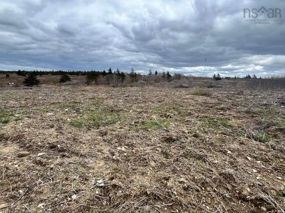Lots D1 & D2 1 Highway, Mavillette Ns B5a 5b3, ,Land,For Sale,1,202410307