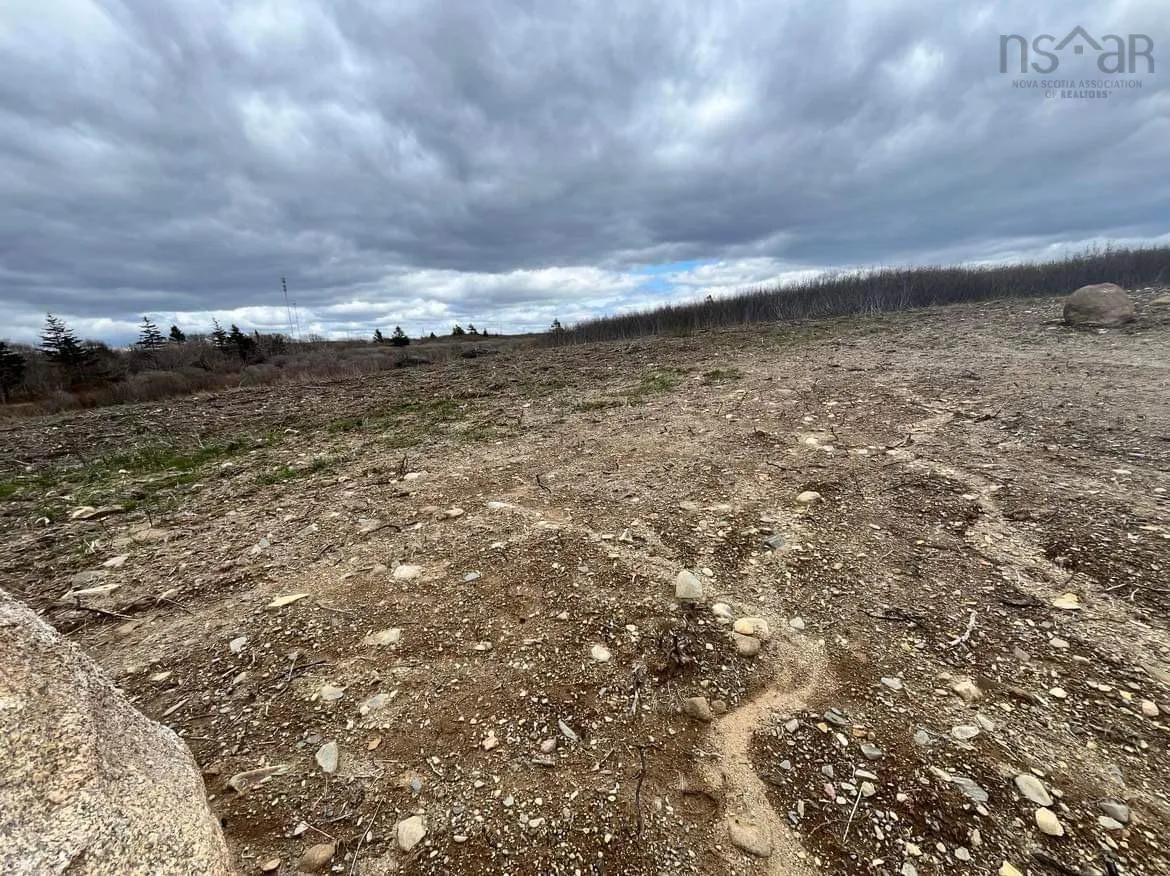 Lots D1 & D2 1 Highway, Mavillette Ns B5a 5b3, ,Land,For Sale,1,202410307