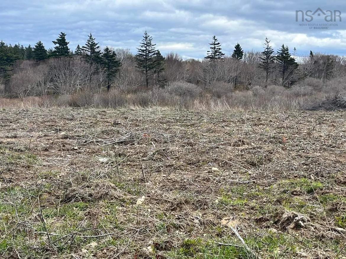 Lots D1 & D2 1 Highway, Mavillette Ns B5a 5b3, ,Land,For Sale,1,202410307