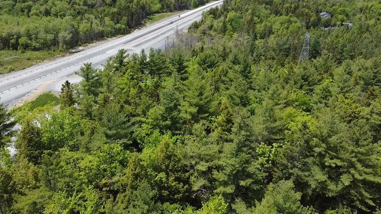Lot Cadlerwood, Wellington, NS B2T 0B8, ,Land,For Sale,Calderwood,202519121