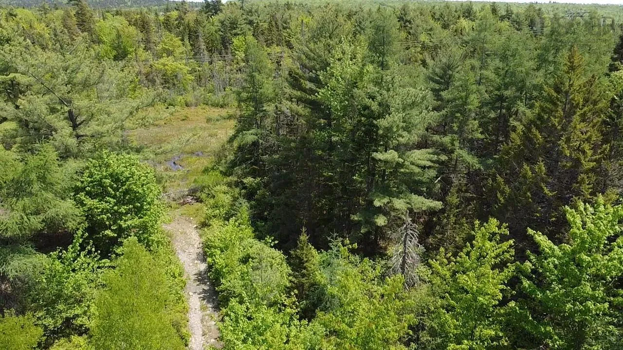 Lot Cadlerwood, Wellington, NS B2T 0B8, ,Land,For Sale,Calderwood,202519121