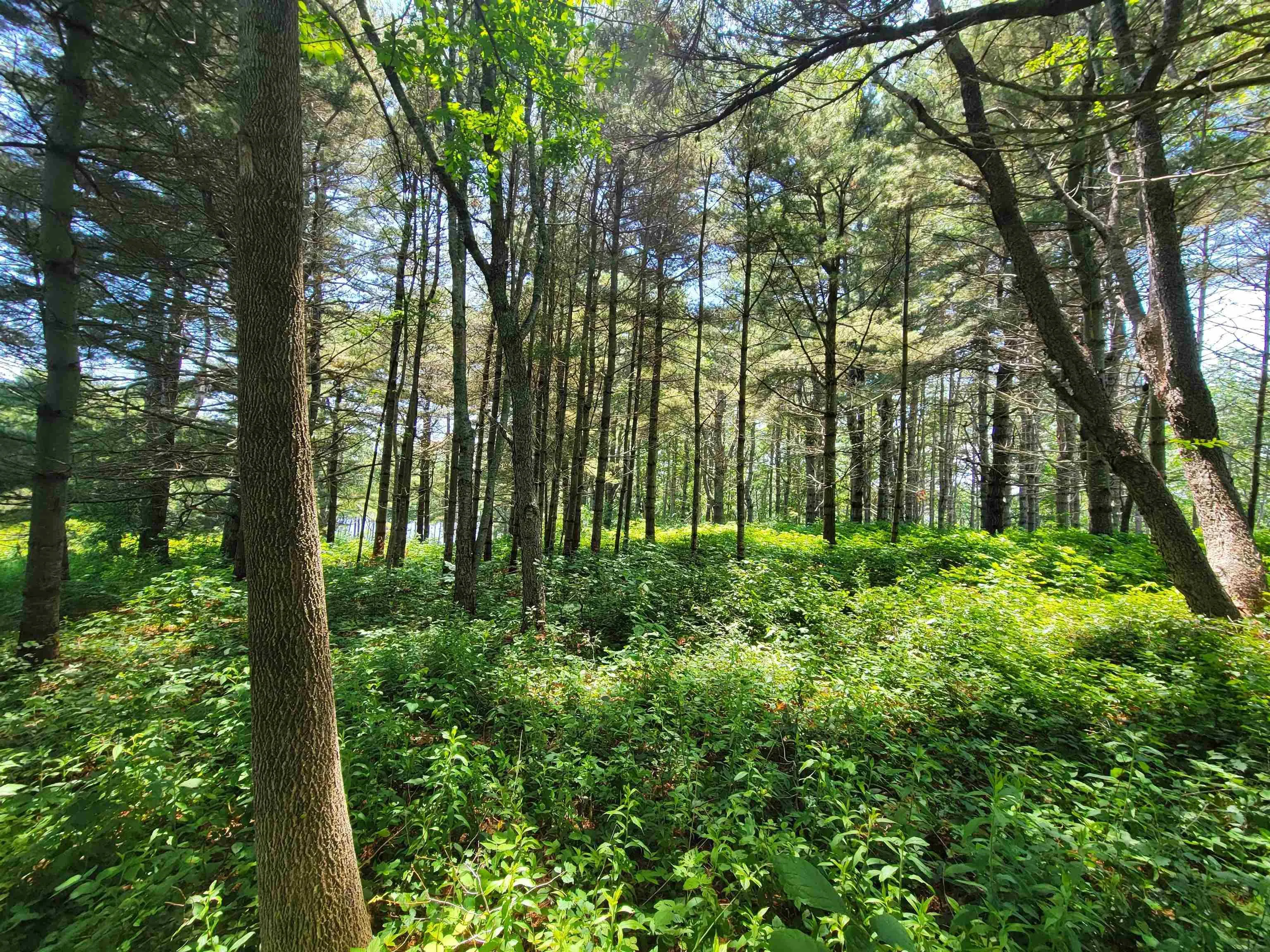 Lot 7 Wilkie Cove Road, Middle Lahave, NS B4V 2Z2, ,Land,For Sale,Wilkie Cove,202521892