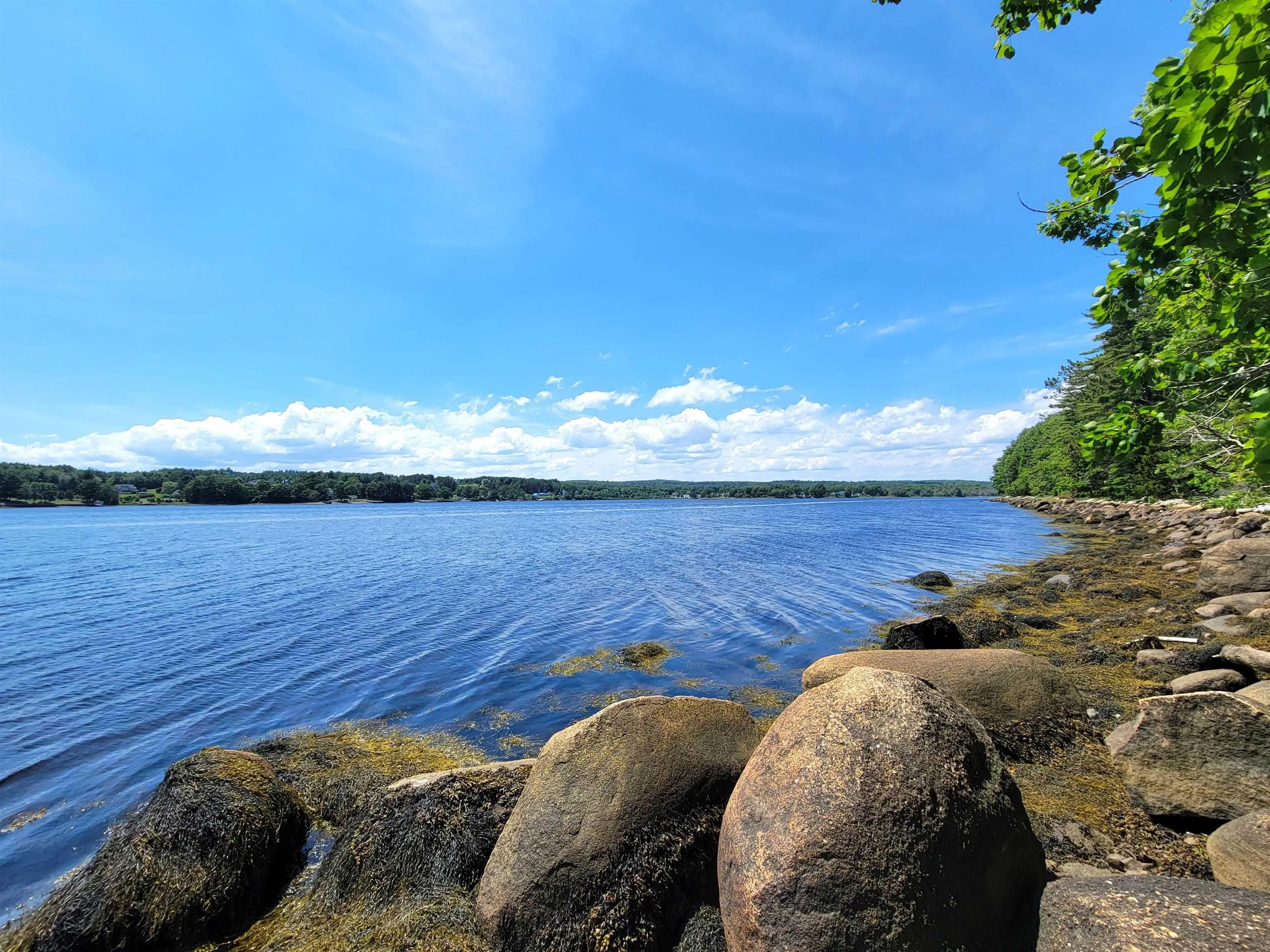 Lot 7 Wilkie Cove Road, Middle Lahave, NS B4V 2Z2, ,Land,For Sale,Wilkie Cove,202521892