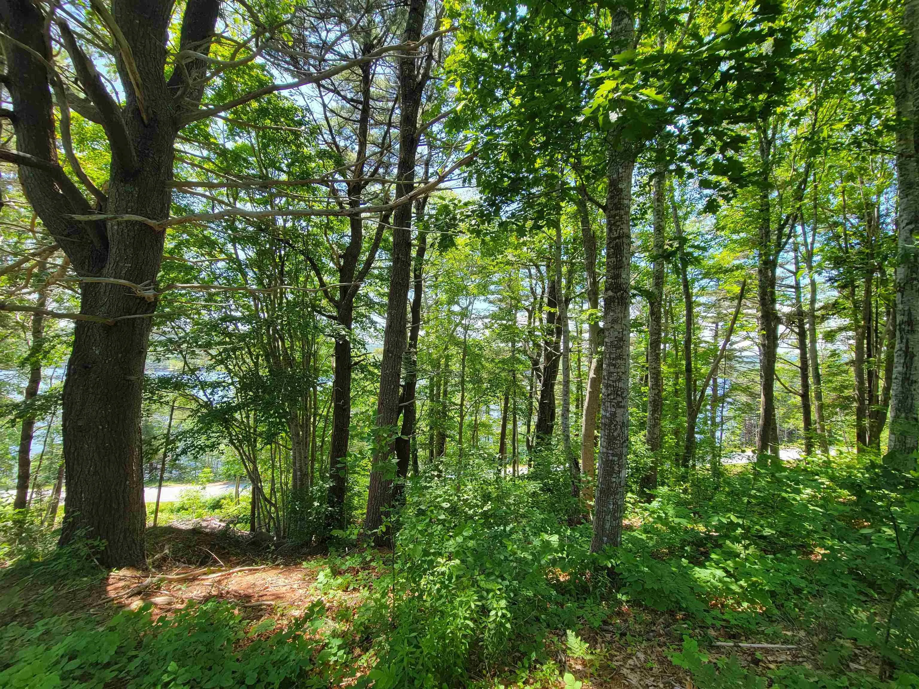 Lot 7 Wilkie Cove Road, Middle Lahave, NS B4V 2Z2, ,Land,For Sale,Wilkie Cove,202521892