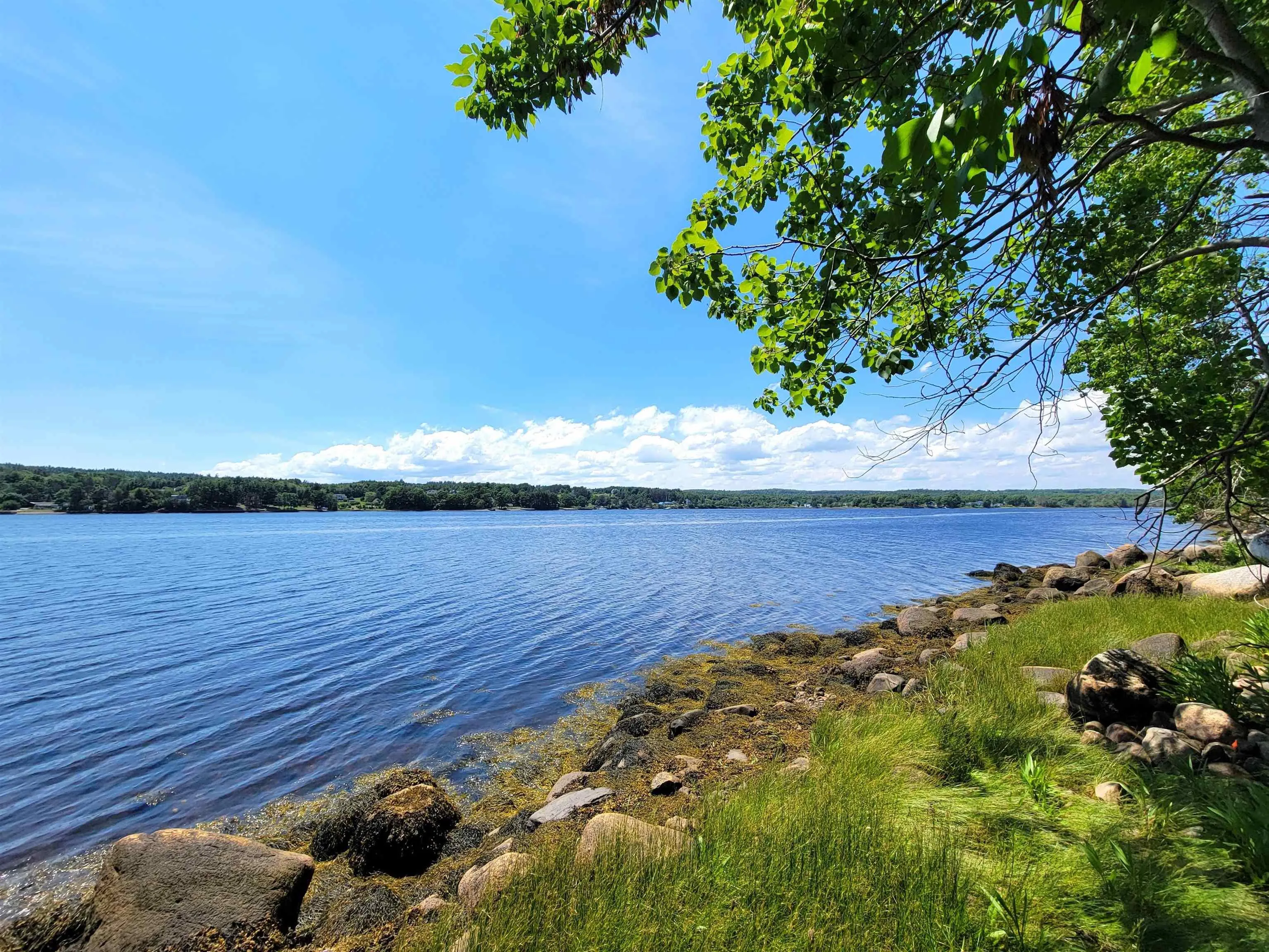 Lot 7 Wilkie Cove Road, Middle Lahave, NS B4V 2Z2, ,Land,For Sale,Wilkie Cove,202521892