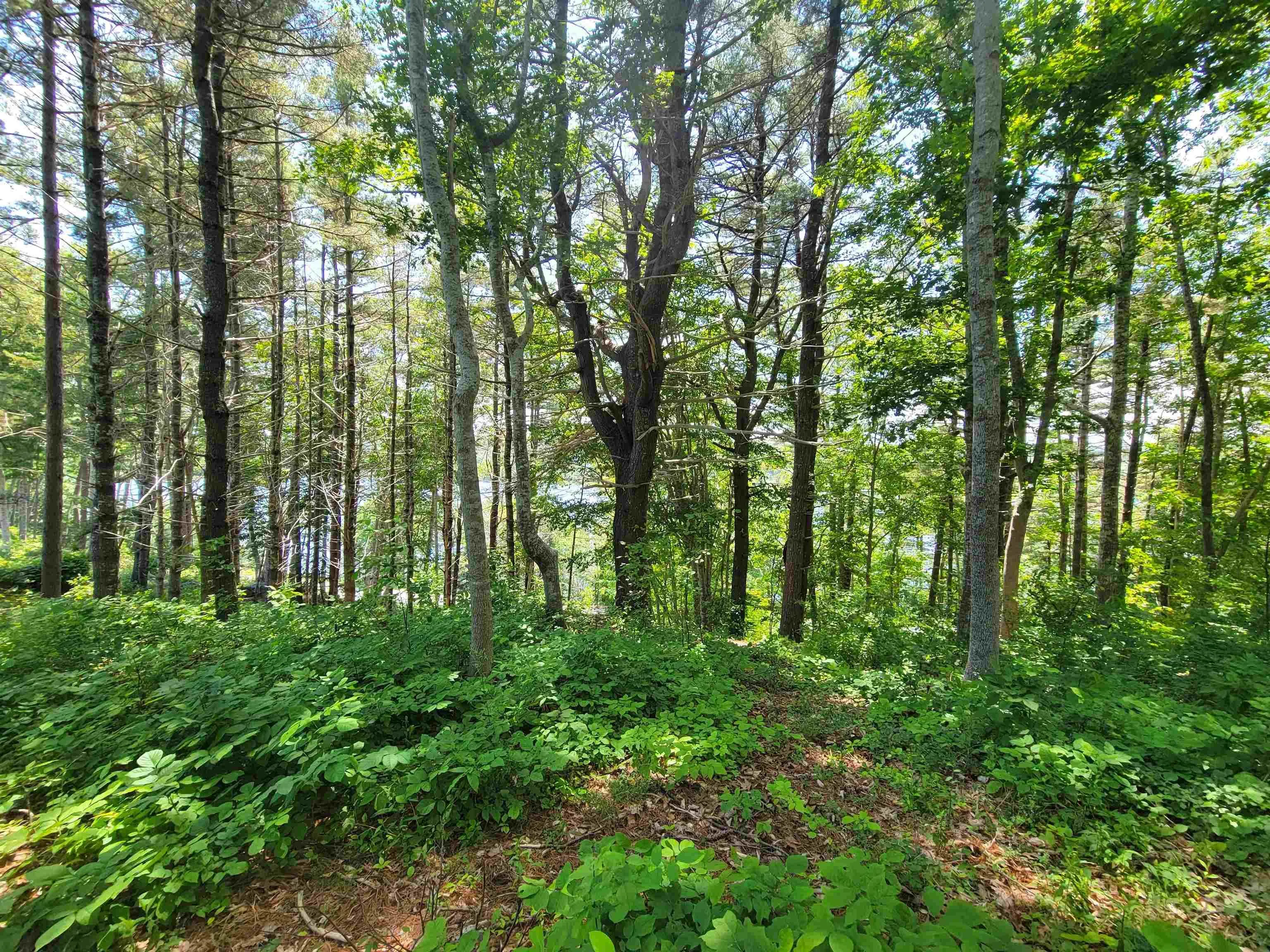 Lot 7 Wilkie Cove Road, Middle Lahave, NS B4V 2Z2, ,Land,For Sale,Wilkie Cove,202521892