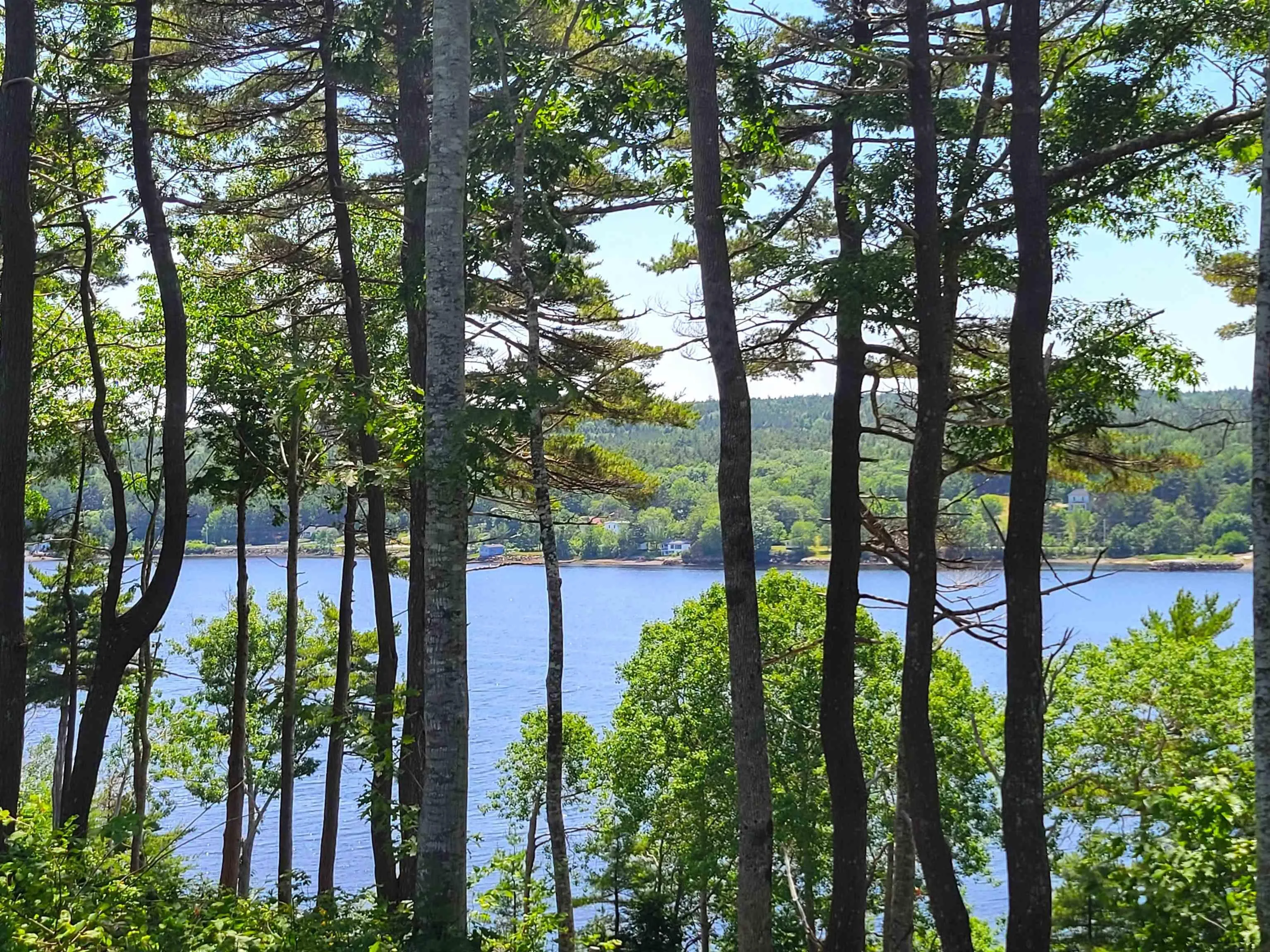 Lot 7 Wilkie Cove Road, Middle Lahave, NS B4V 2Z2, ,Land,For Sale,Wilkie Cove,202521892