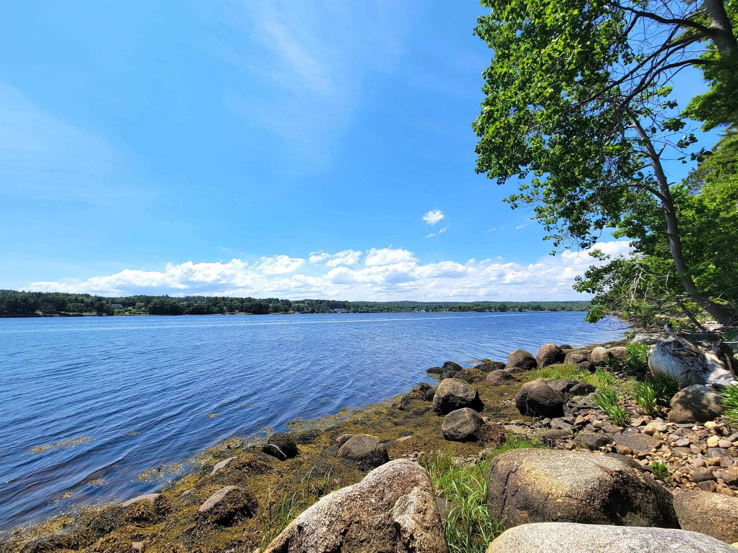 Lot 7 Wilkie Cove Road, Middle Lahave, NS B4V 2Z2, ,Land,For Sale,Wilkie Cove,202521892
