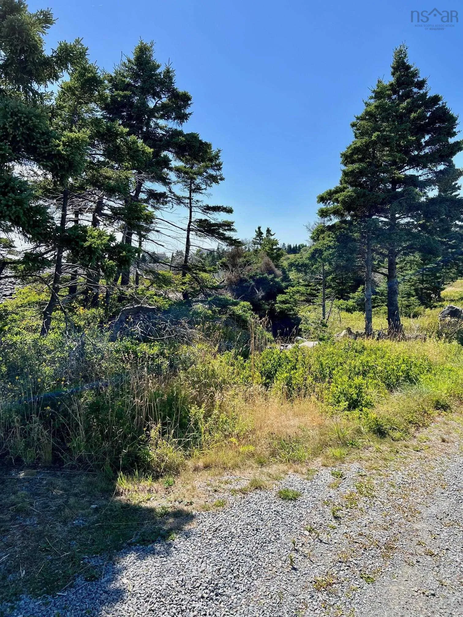 Pid#70044946 Shore Road, Western Head Ns B0t 1k0, ,Land,For Sale,(Pid 70044946) Shore,202424055