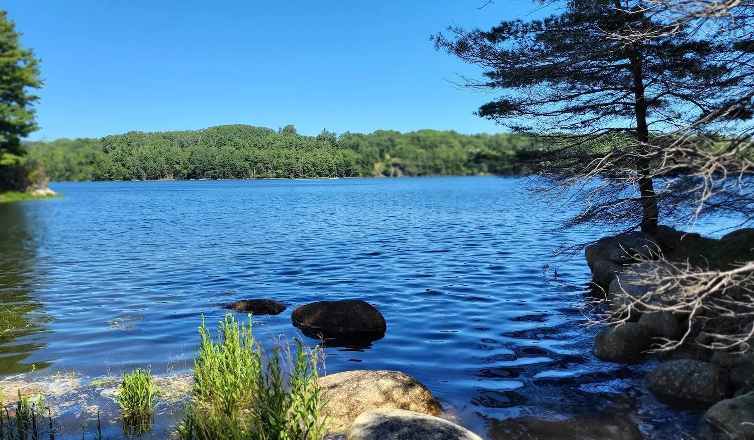 1915 Highway 331, Pleasantville, NS B0R 1G0, 2 Bedrooms Bedrooms, ,1 BathroomBathrooms,Residential,For Sale,Highway 331,202521302