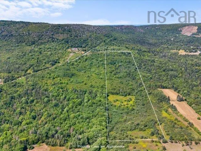 Haul Road, Grandique Ferry, NS B0S 1A0, ,Land,For Sale,Haul,202521083