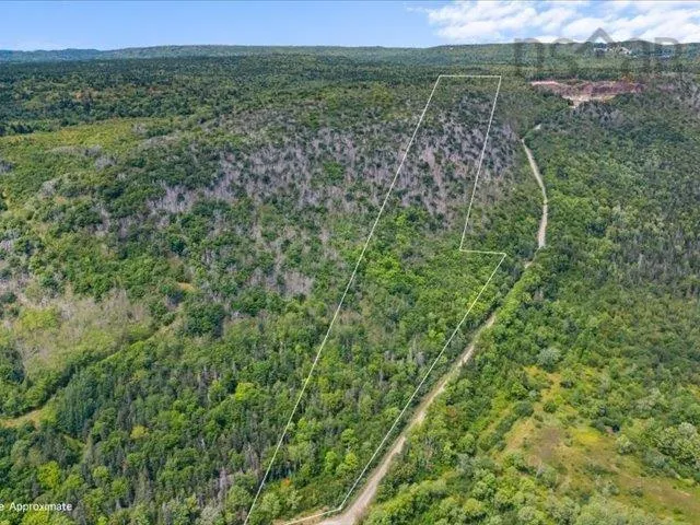 Haul Road, Grandique Ferry, NS B0S 1A0, ,Land,For Sale,Haul,202521083